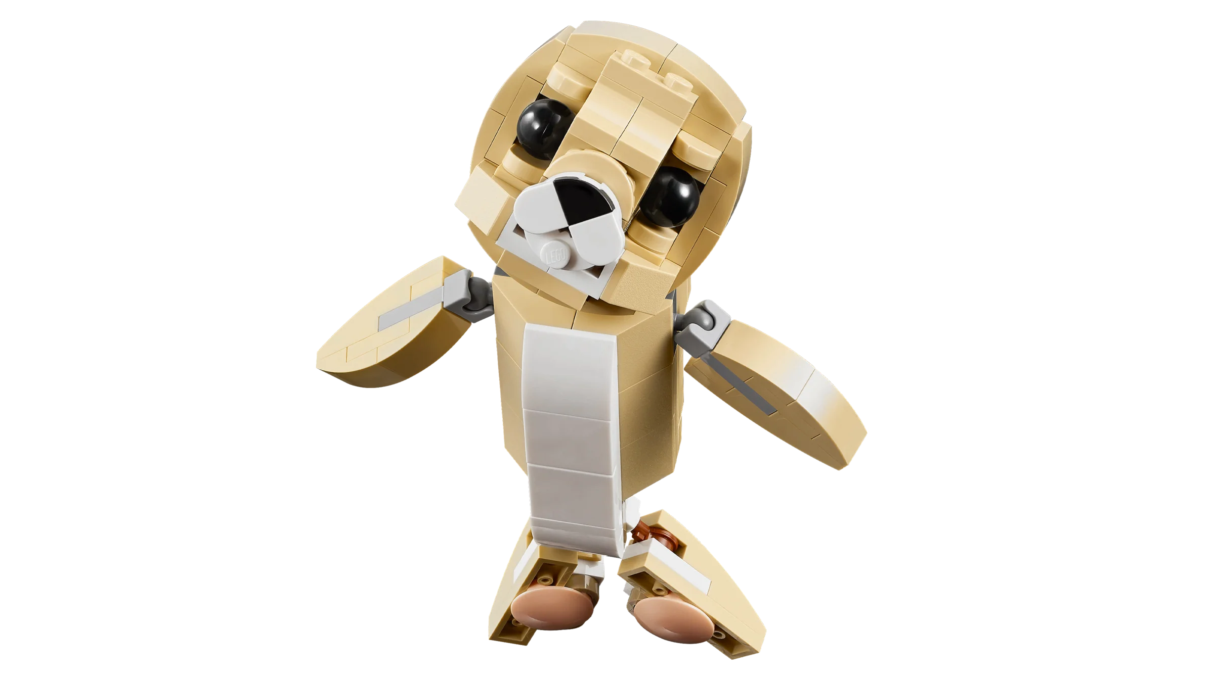 Cute Bunny - Image 7