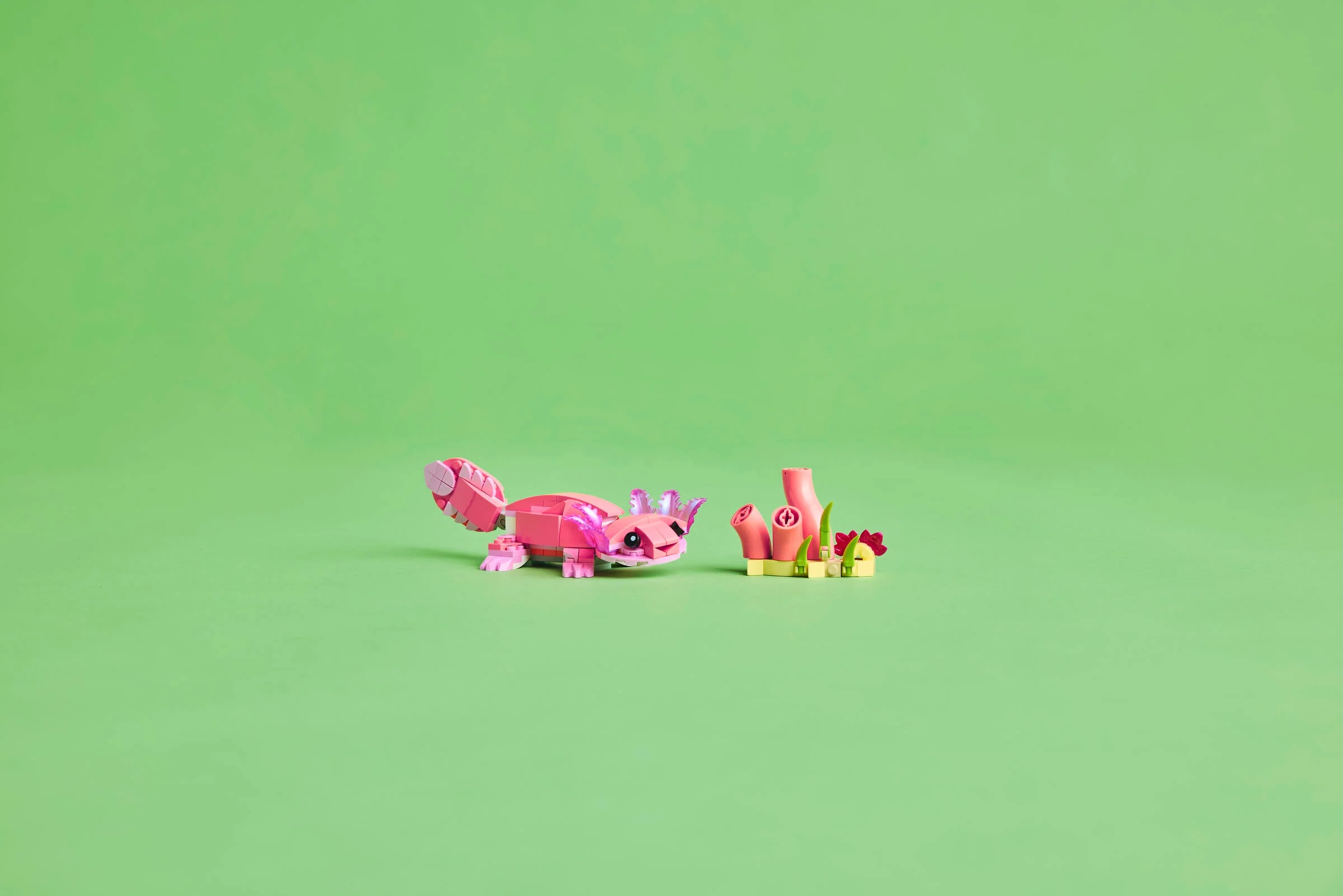 Pink Flamingo - Image 10