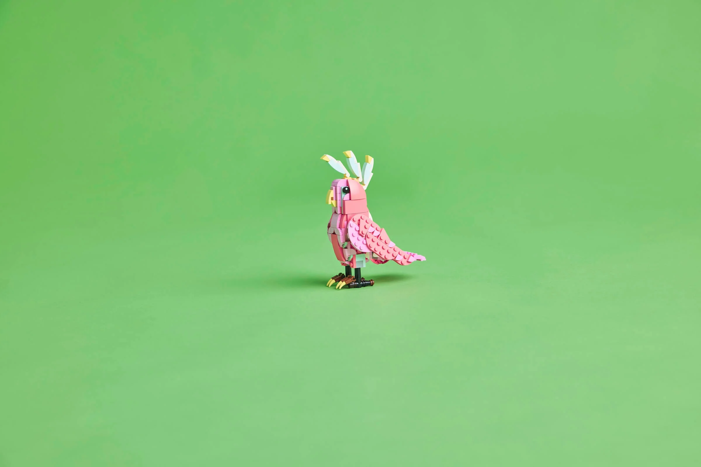 Pink Flamingo - Image 11