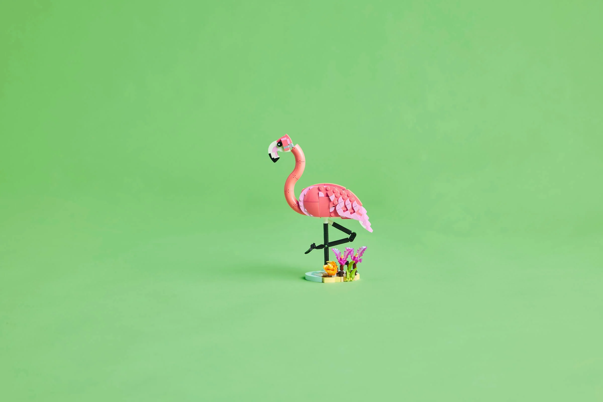 Pink Flamingo - Image 9