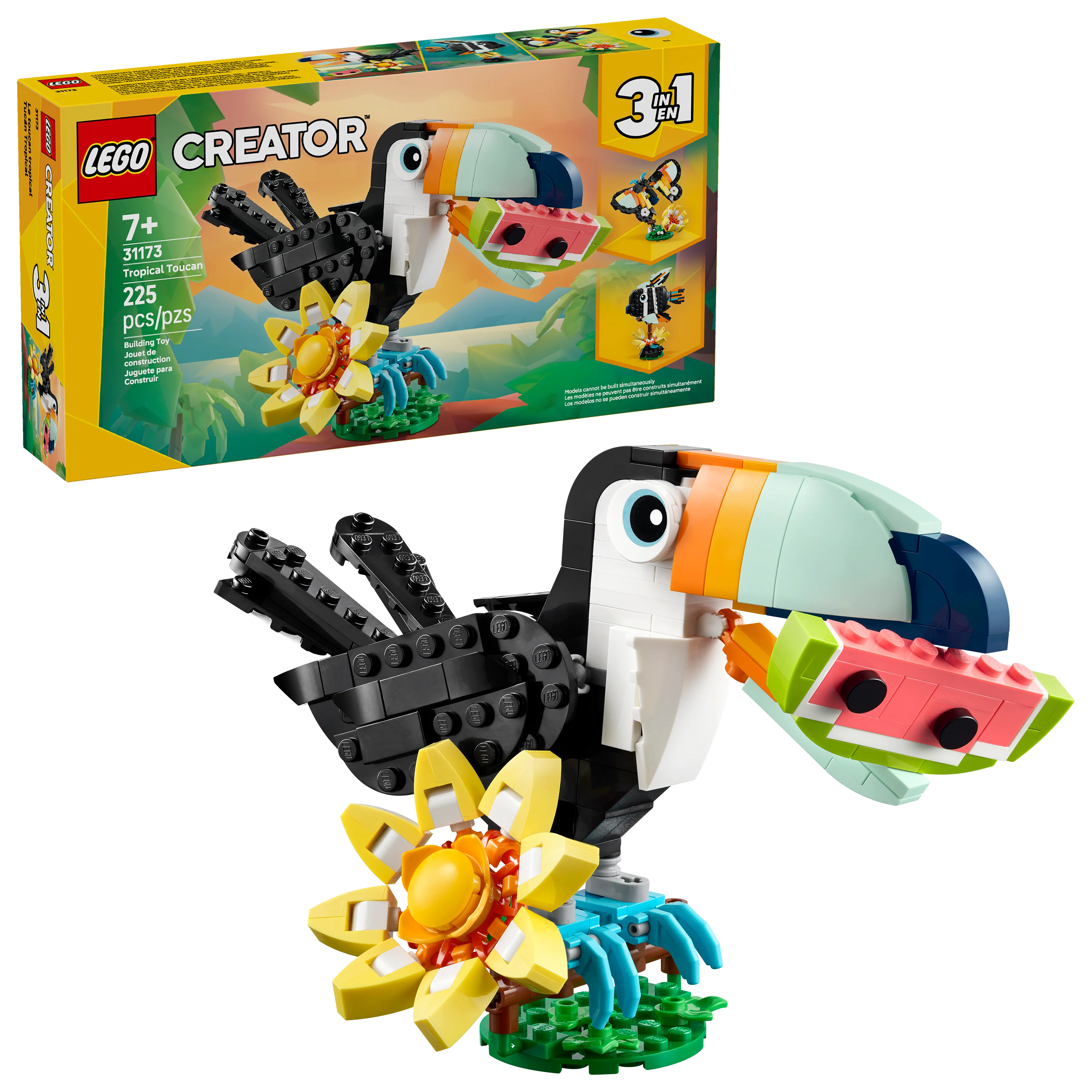Wild Animals: Tropical Toucan - Image 2