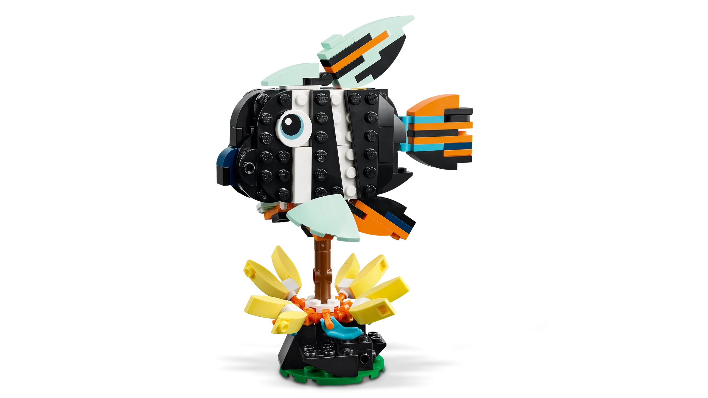 Wild Animals: Tropical Toucan - Image 4