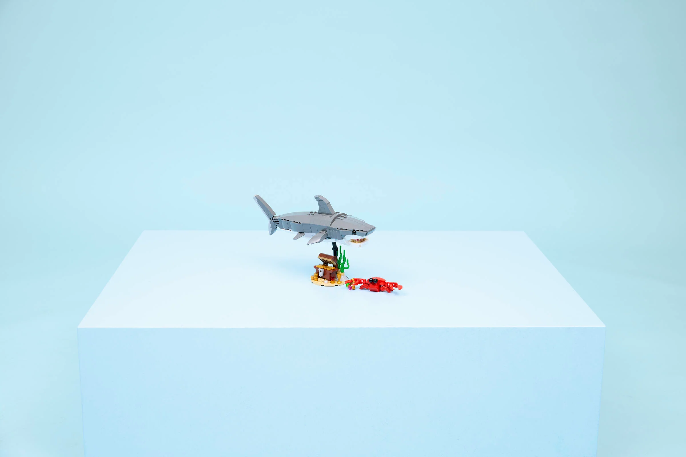 Fierce Shark with a Treasure Chest - Image 11