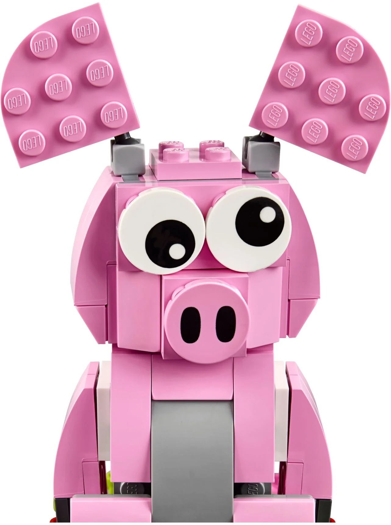Year of the Pig - Image 3