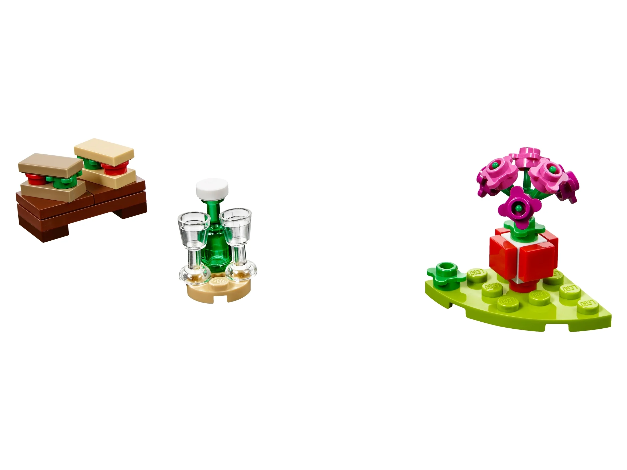Romantic Valentine Picnic - Image 4