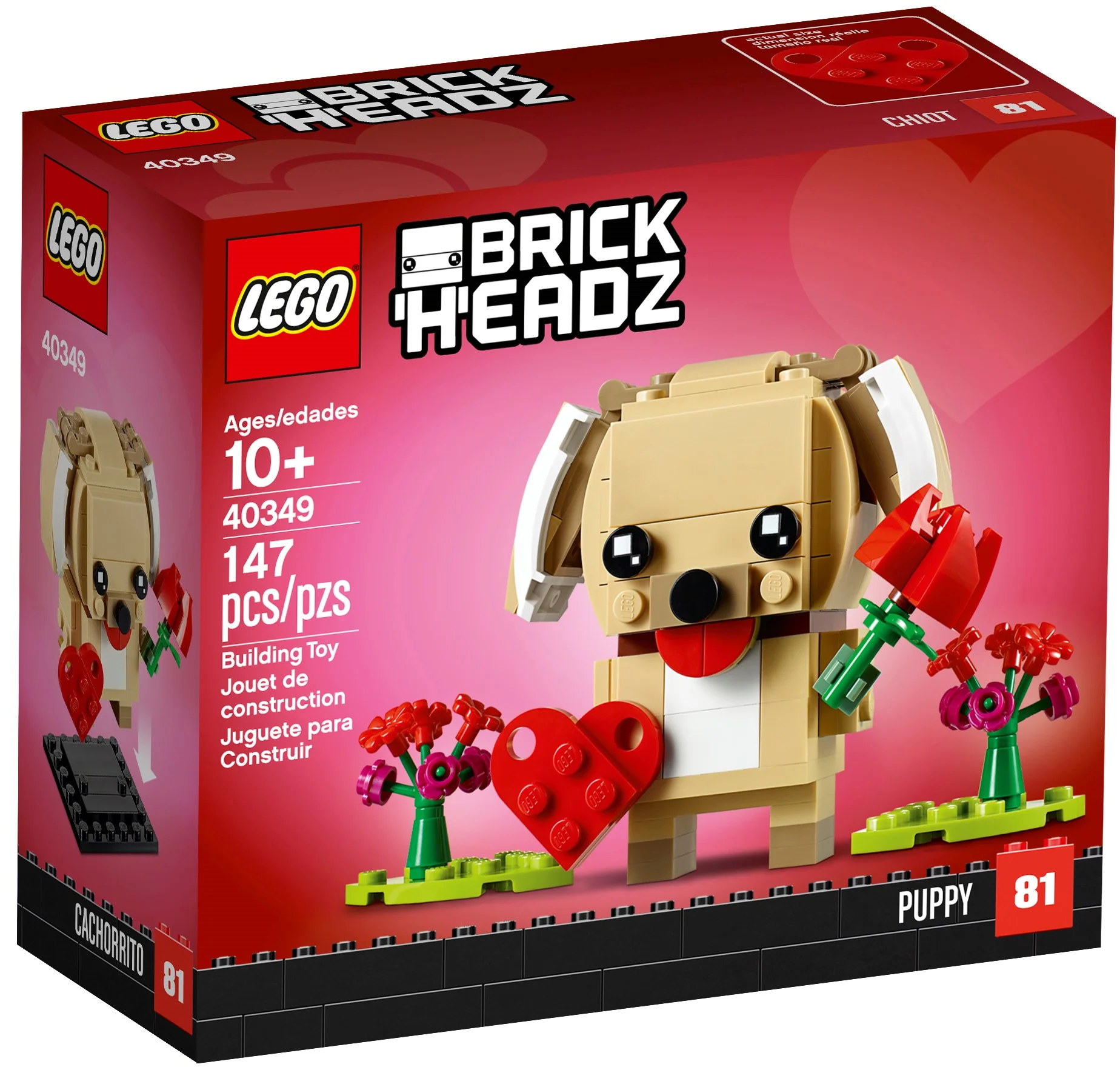 Valentine's Puppy - Image 2