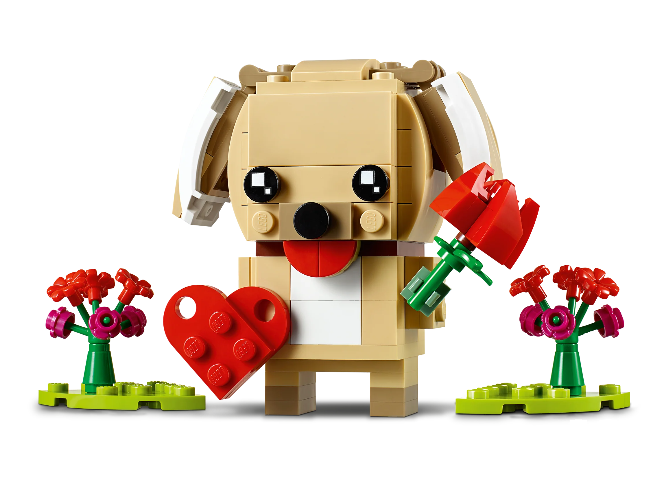 Valentine's Puppy - Image 3