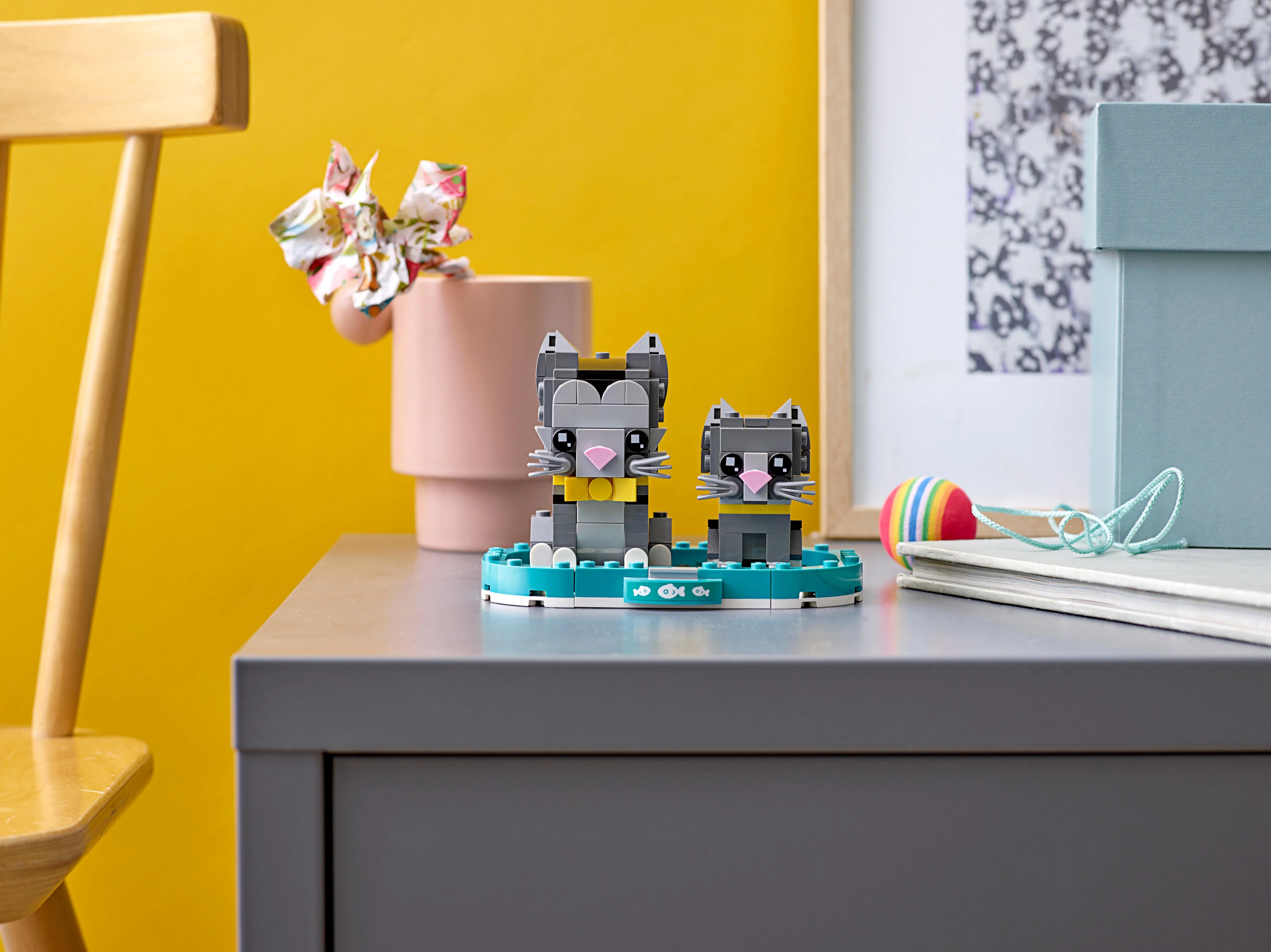 Shorthair Cats - Image 4