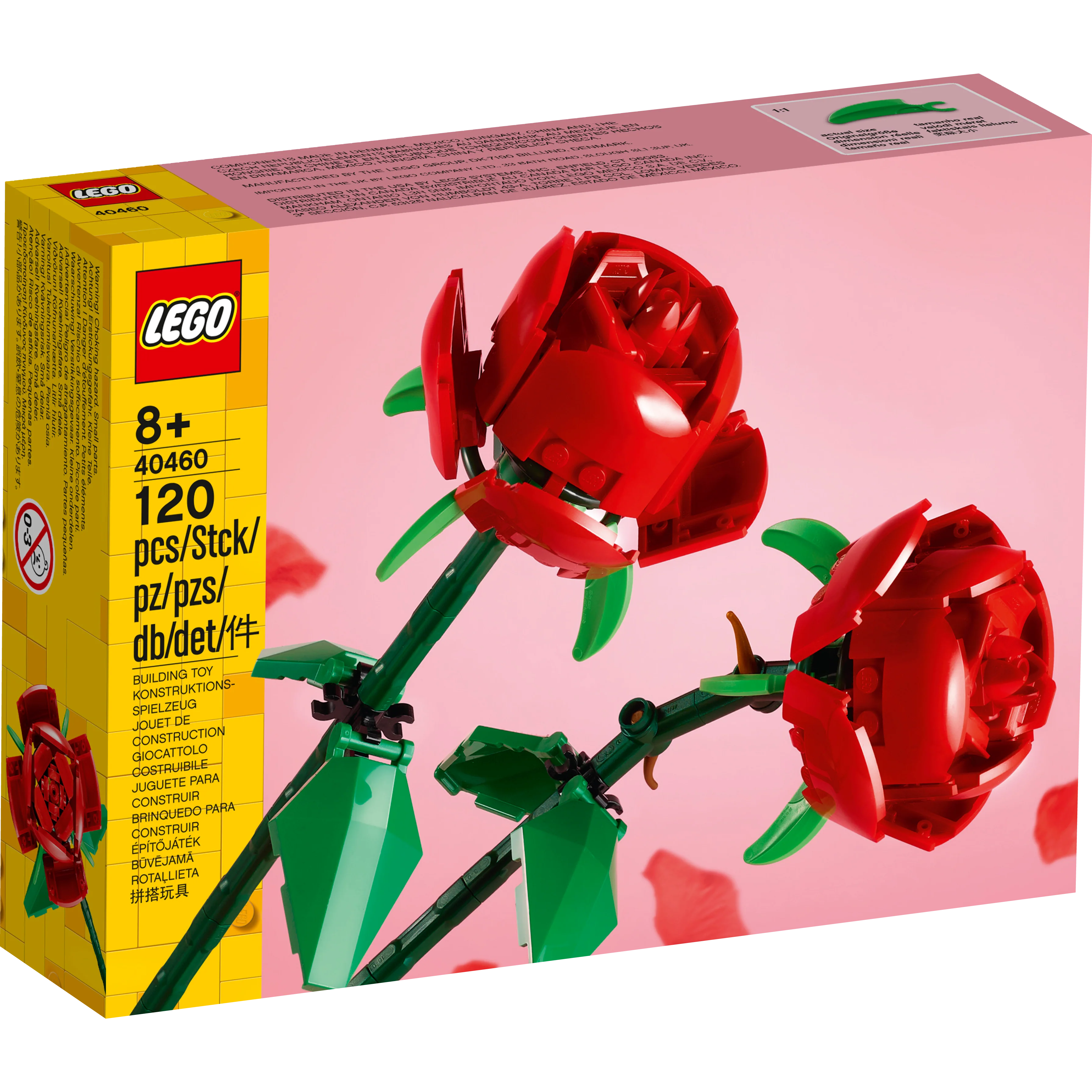 Roses - Image 2