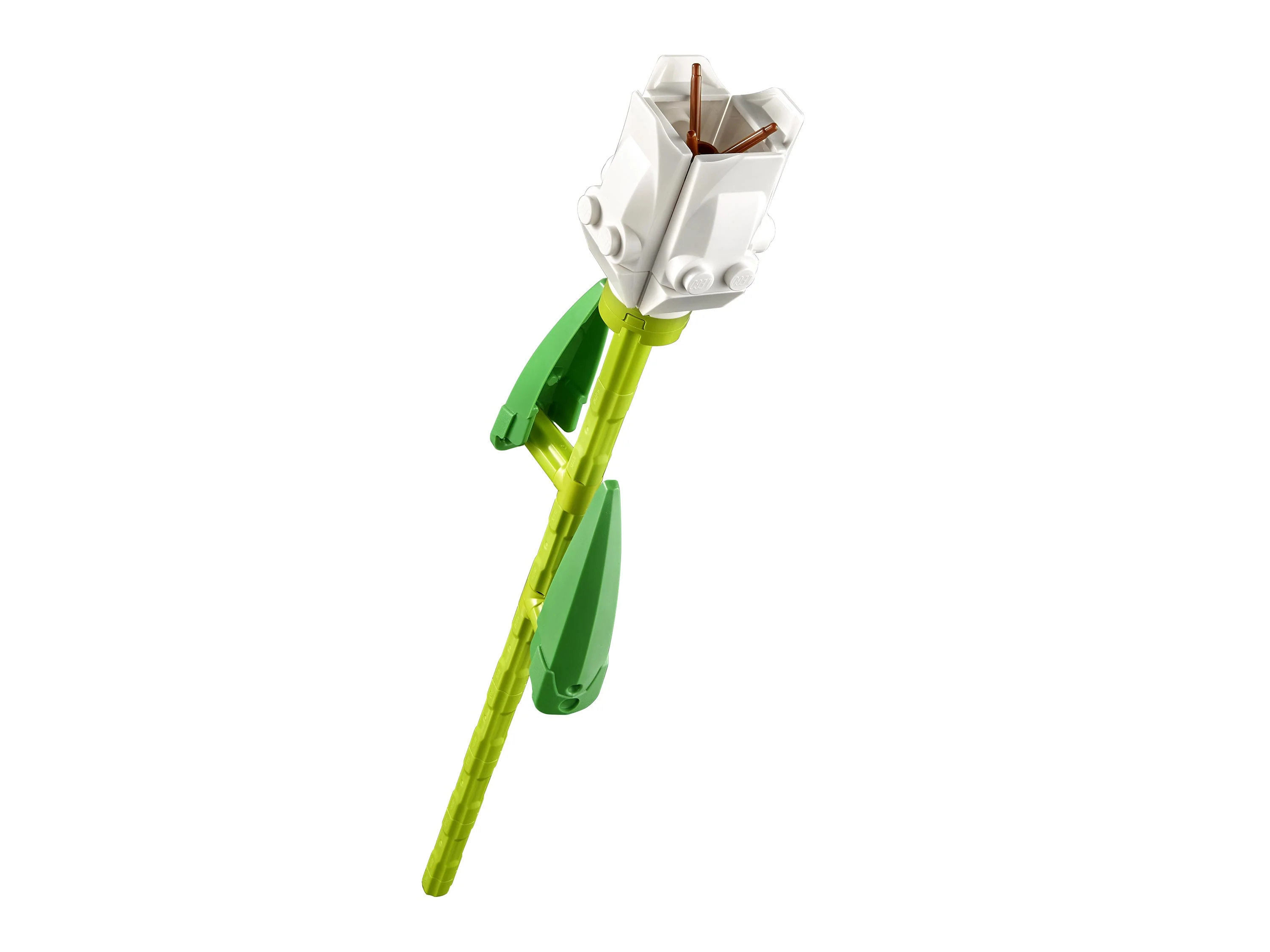 Tulips - Image 3