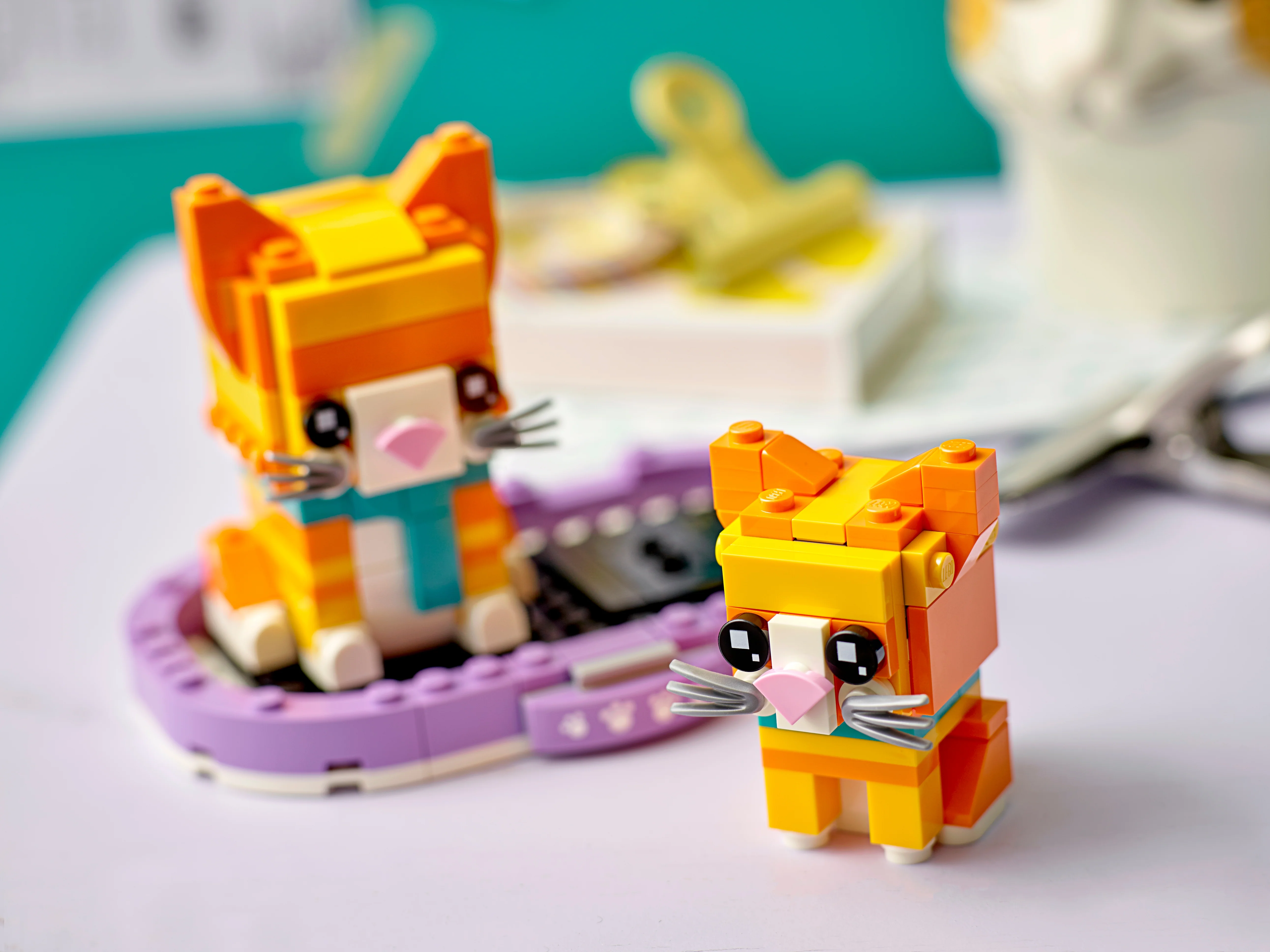 Ginger Tabby - Image 5