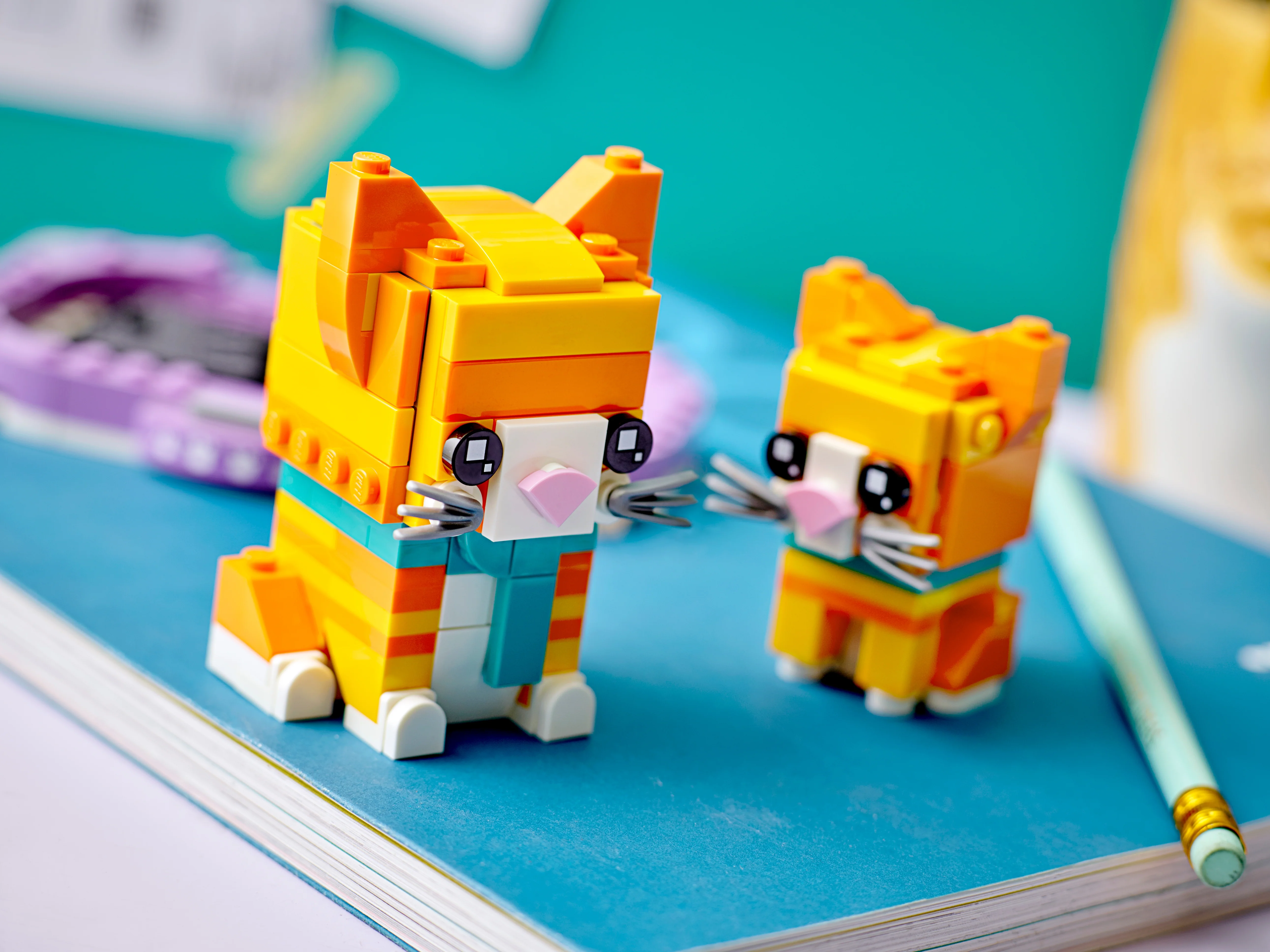 Ginger Tabby - Image 6