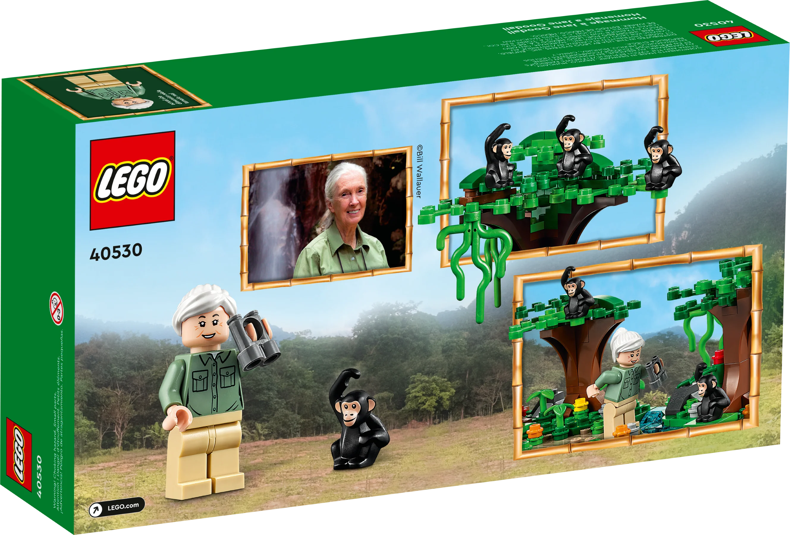 Jane Goodall Tribute - Image 3