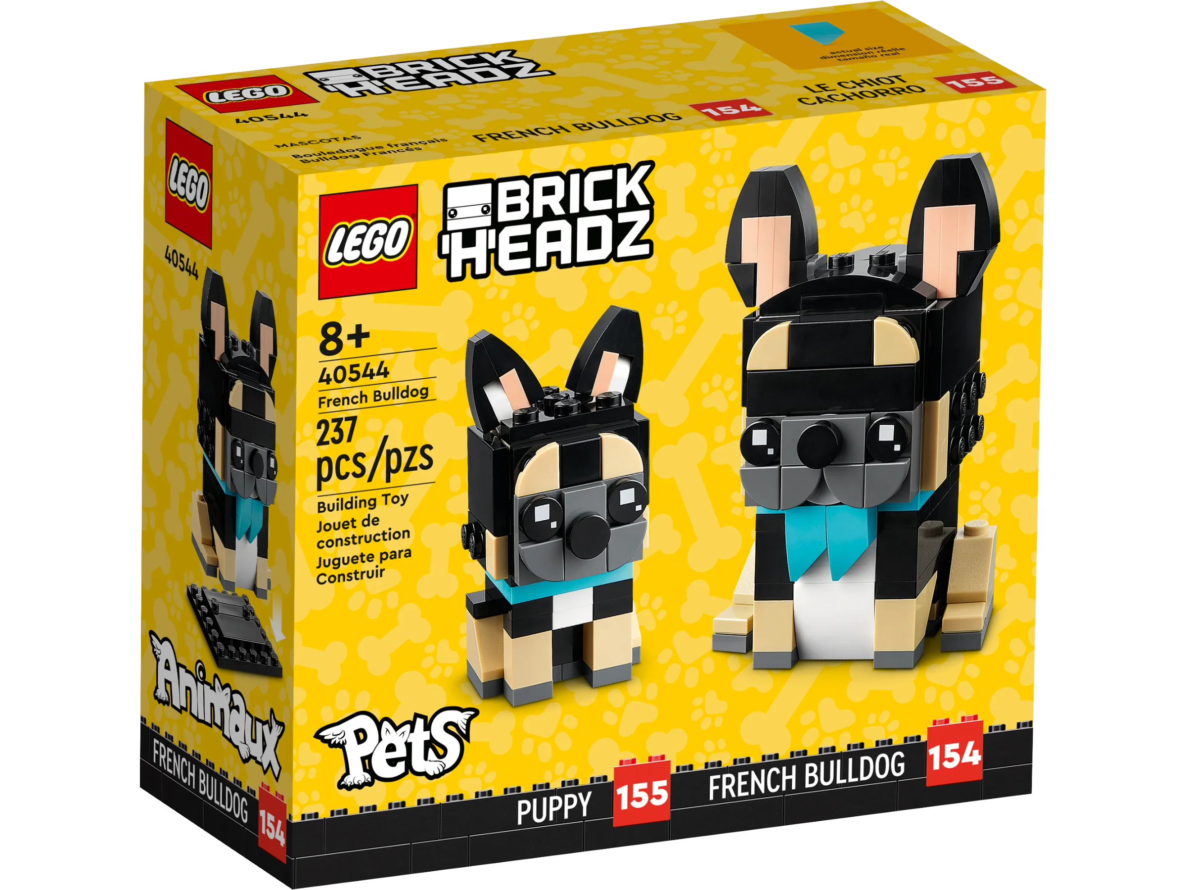 French Bulldog - Image 2
