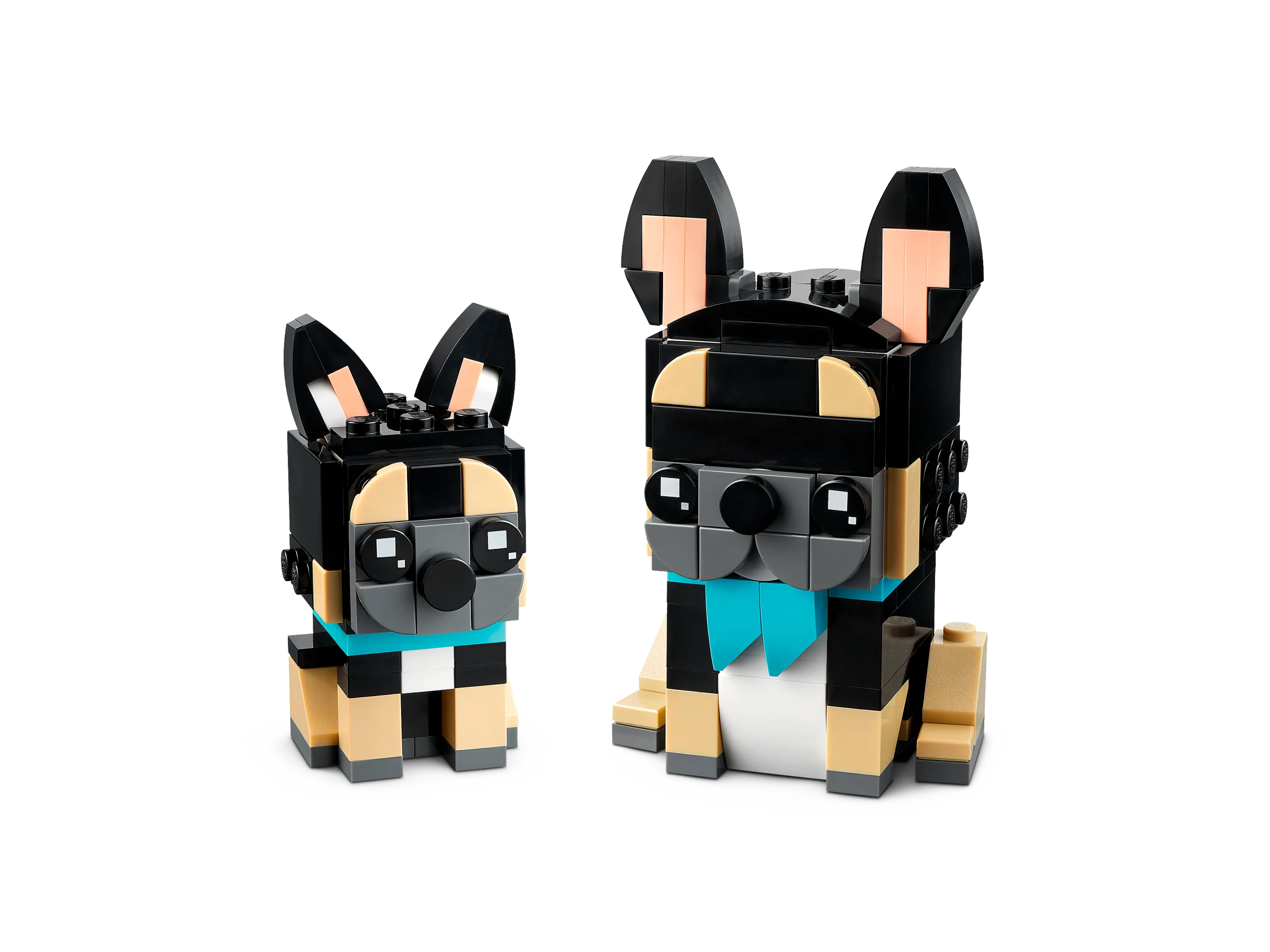 French Bulldog - Image 3