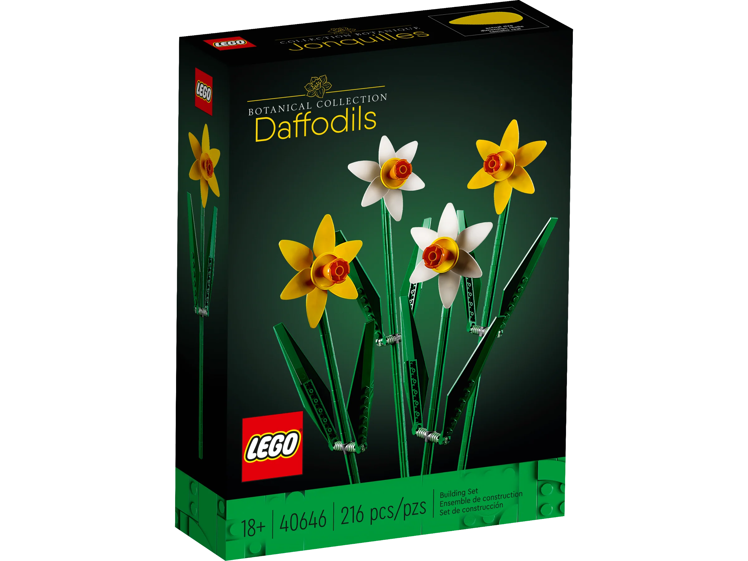 Daffodils - Image 2