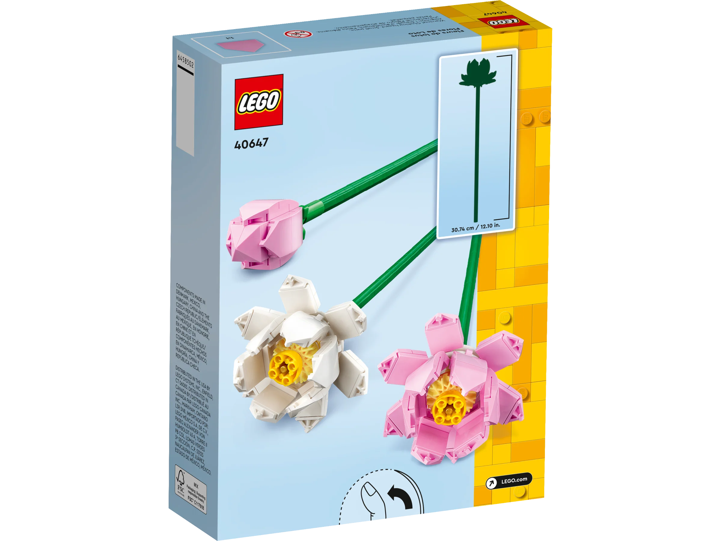 Lotus Flowers - Image 3