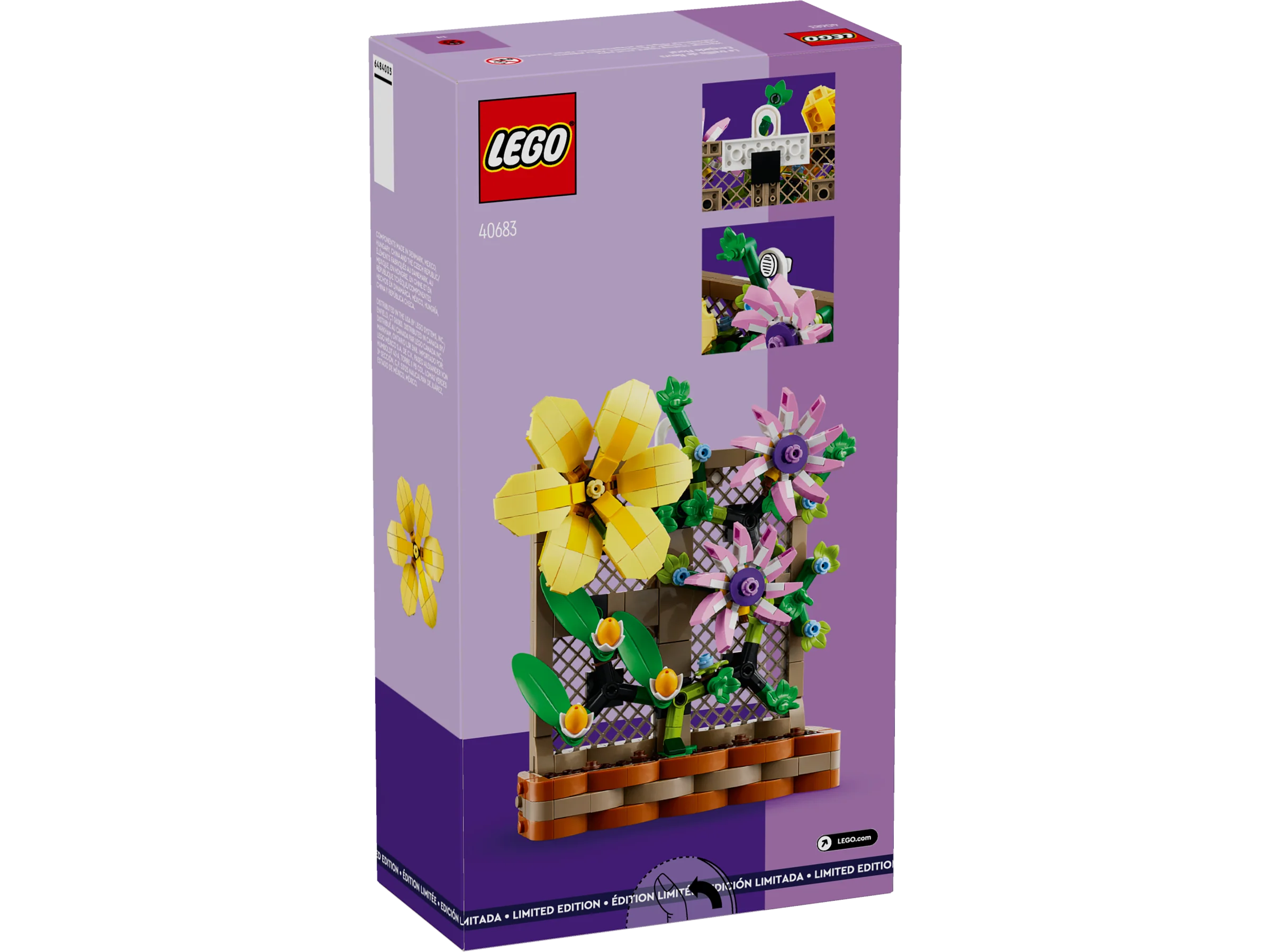 Flower Trellis Display - Image 3