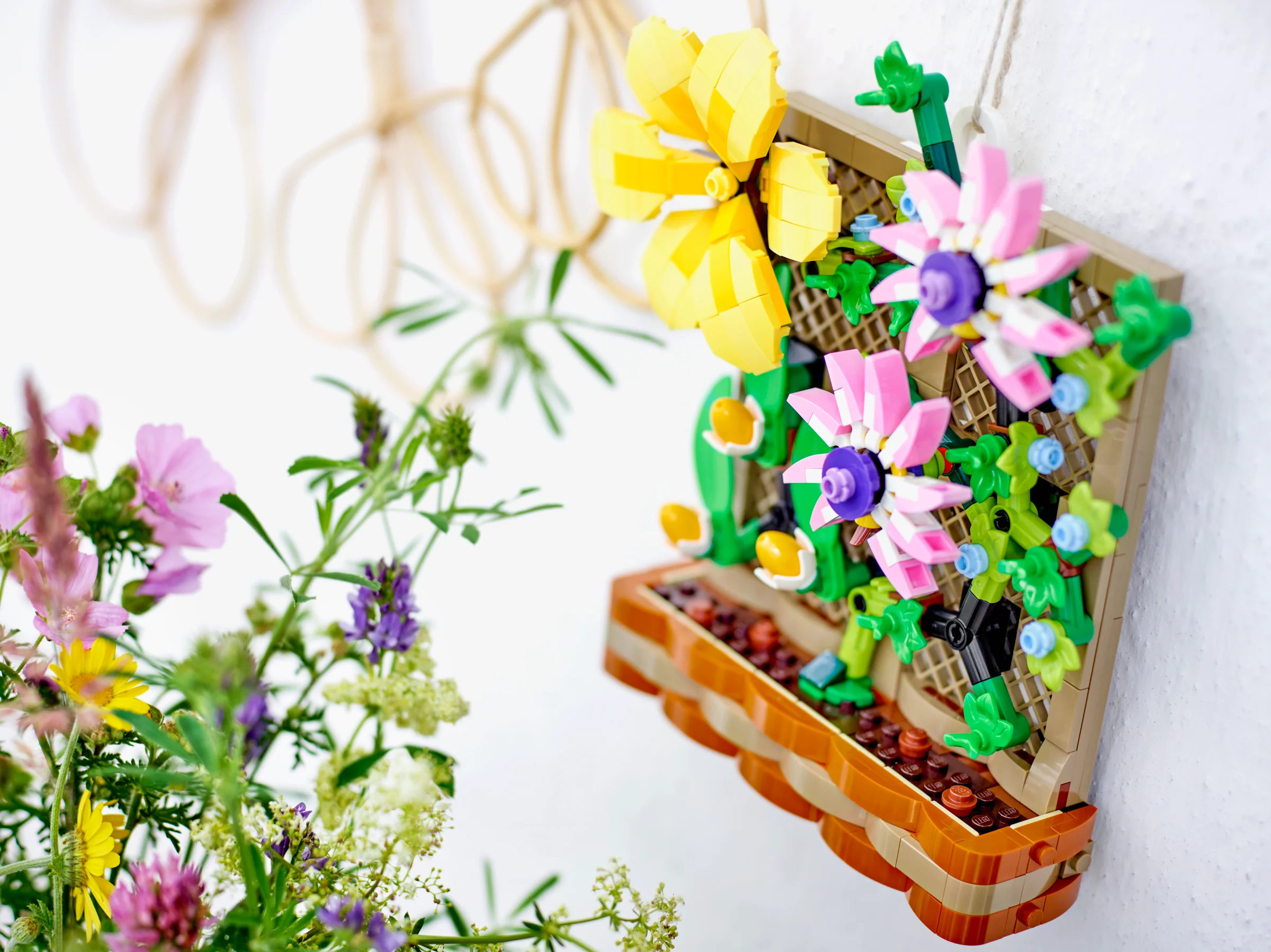 Flower Trellis Display - Image 5