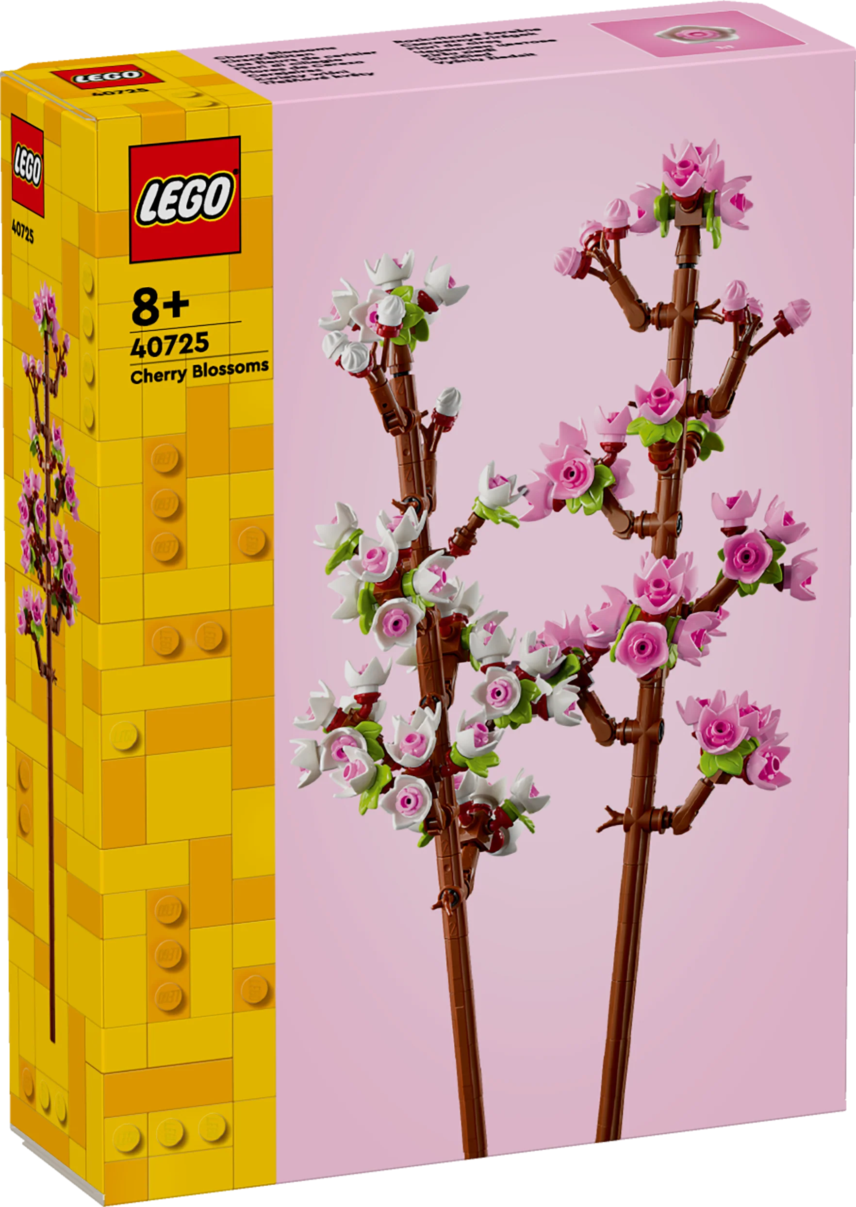 Cherry Blossoms - Image 2