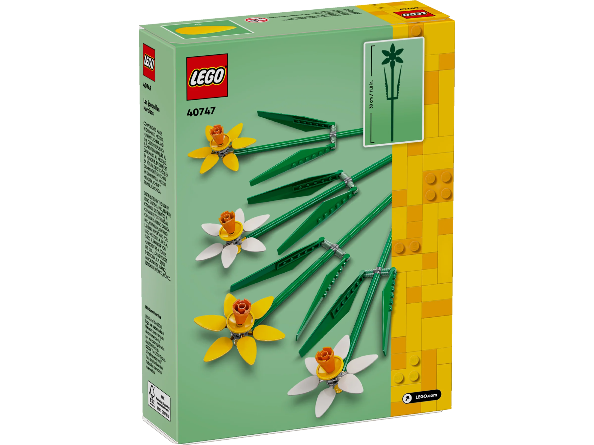 Daffodils - Image 3