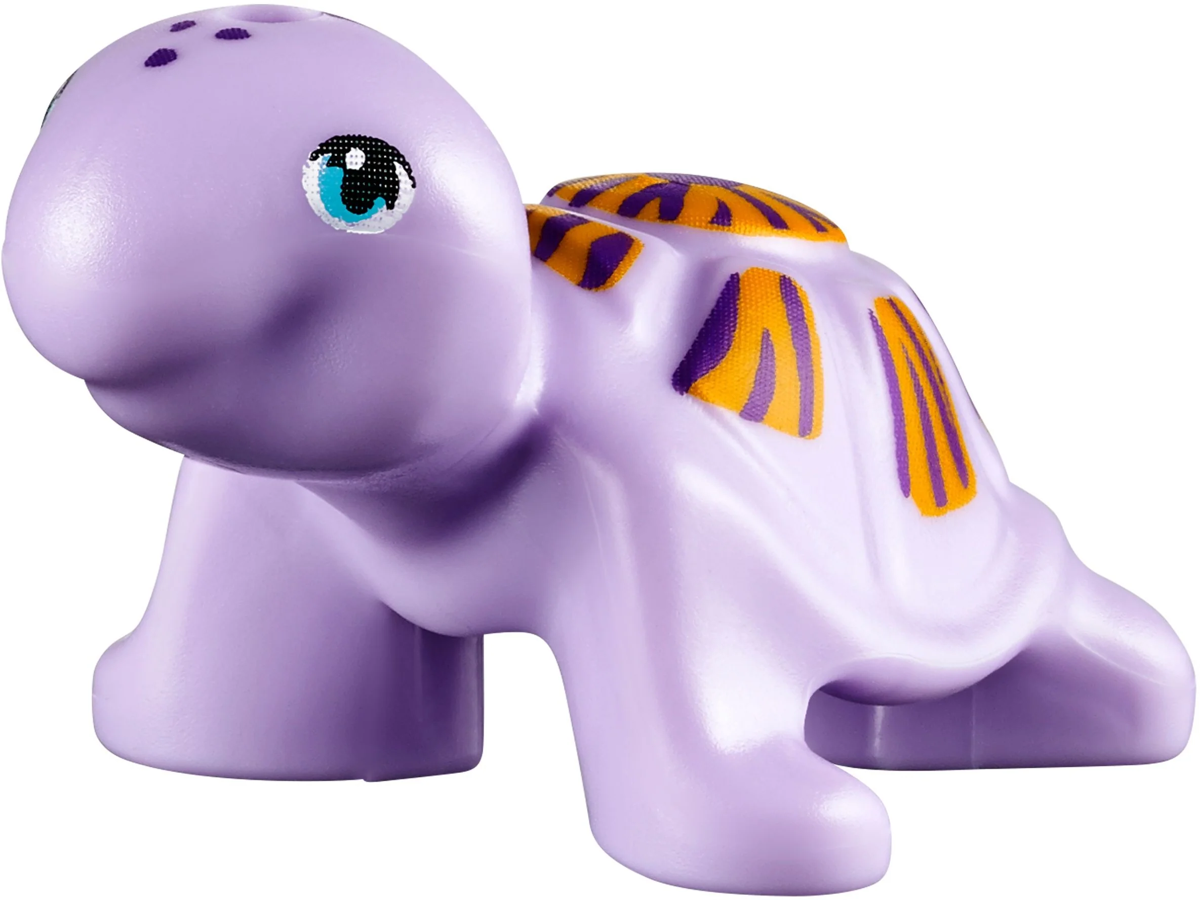 Turtle's Little Paradise - Image 5