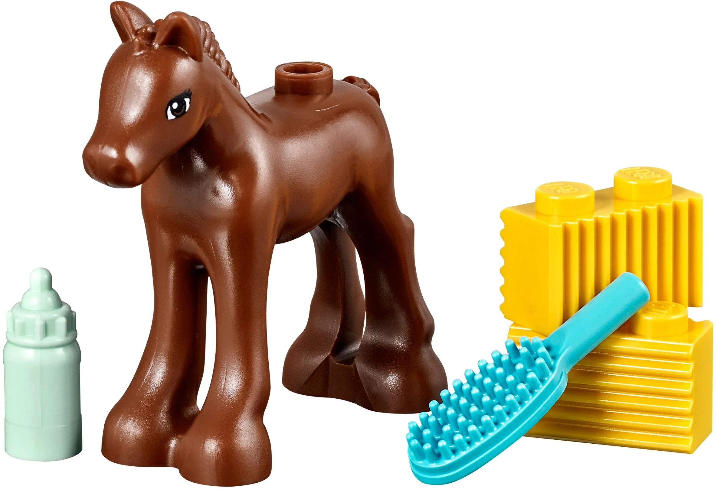 Little Foal - Image 5