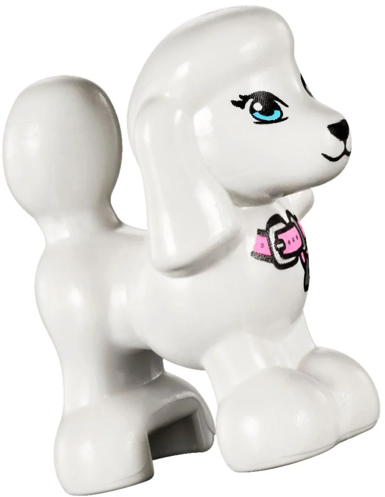 Puppy Championship - Image 9
