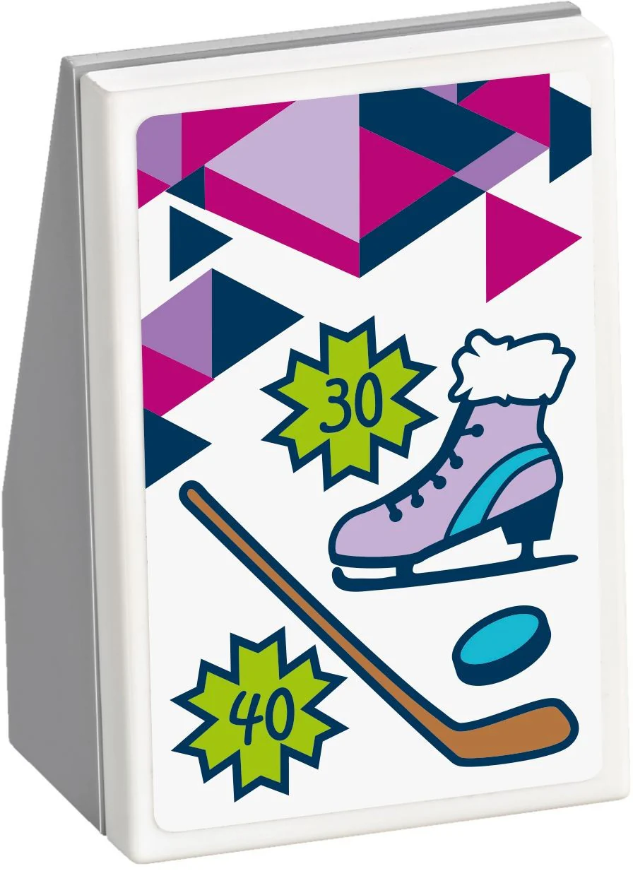 Snow Resort Ice Rink - Image 3