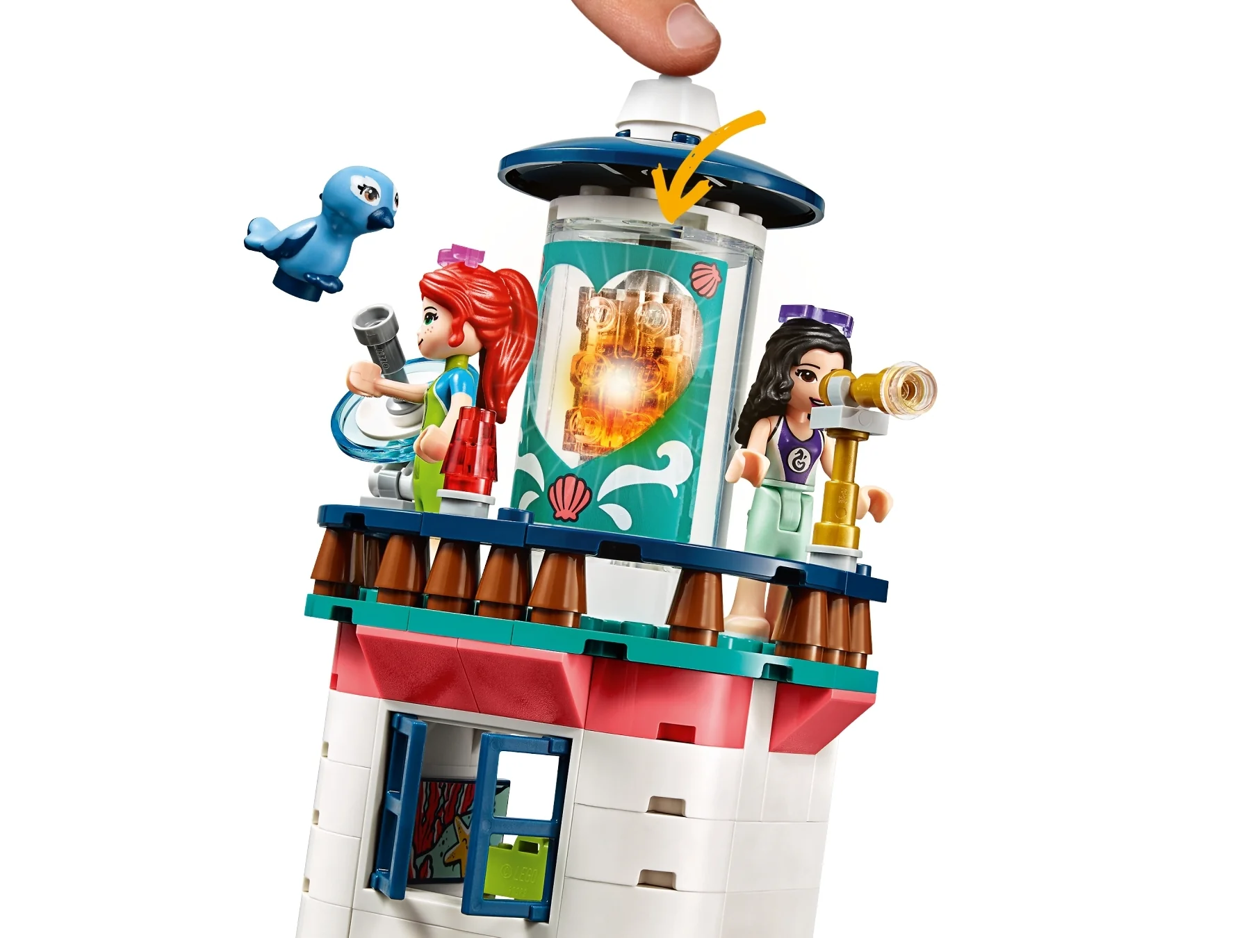 Lighthouse Rescue Center - Image 4