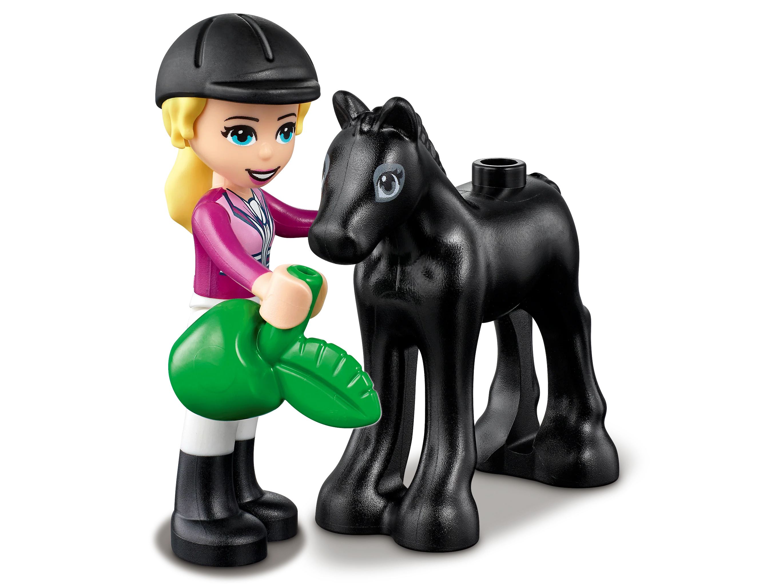 Horse Training and Trailer - Image 4