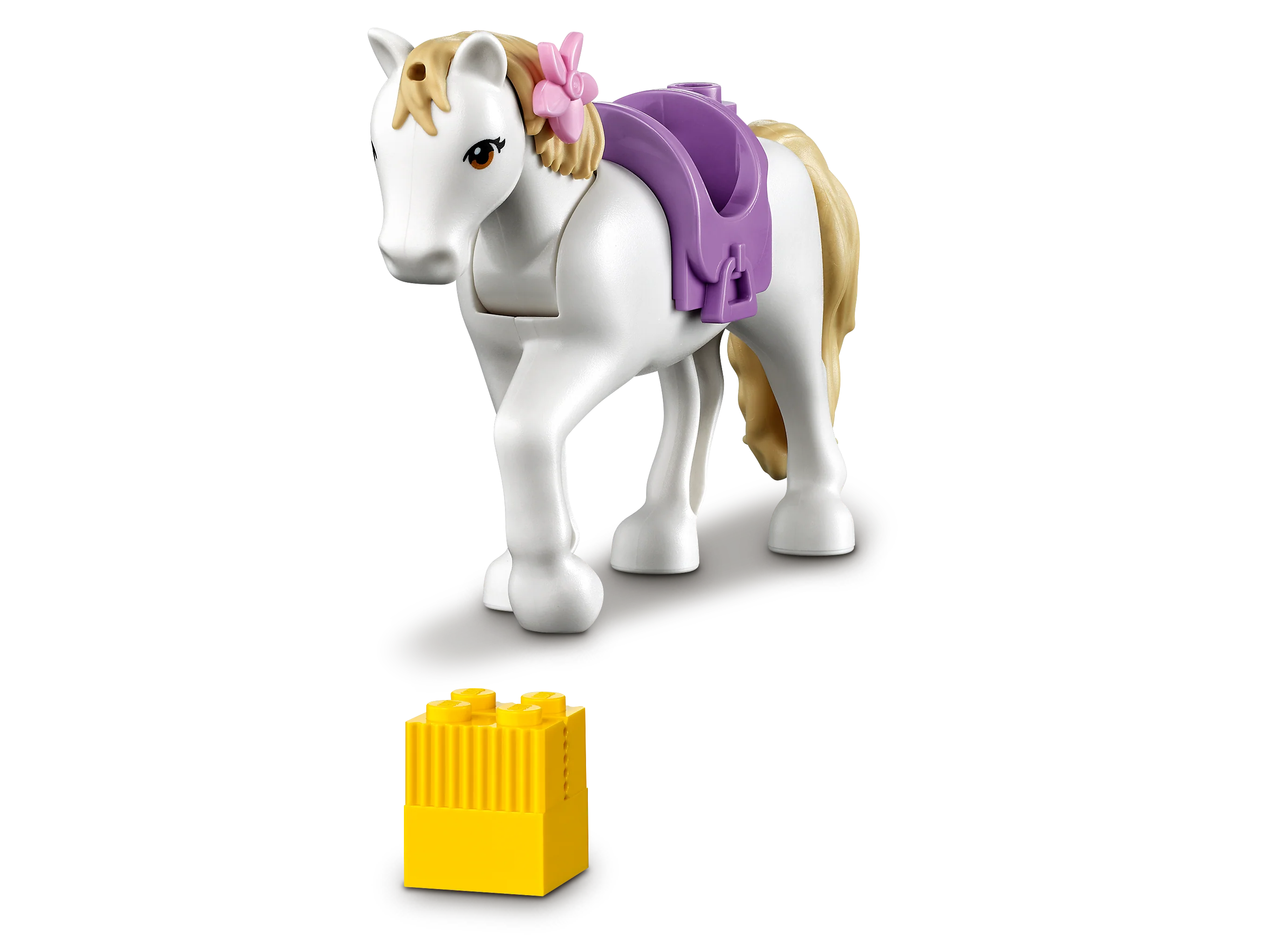Horse Training and Trailer - Image 9