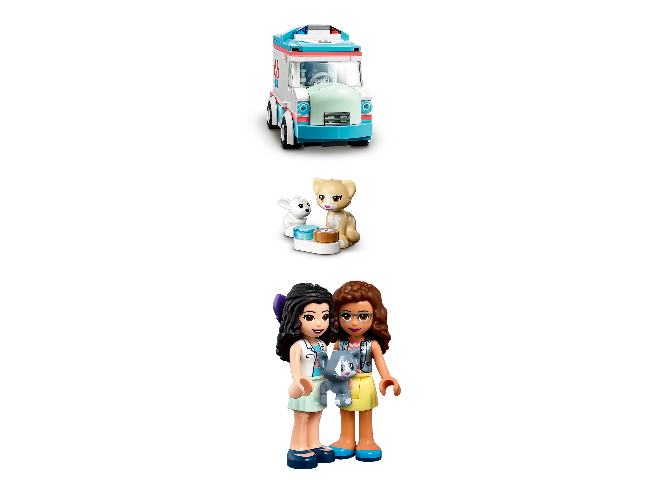 Vet Clinic Ambulance - Image 4