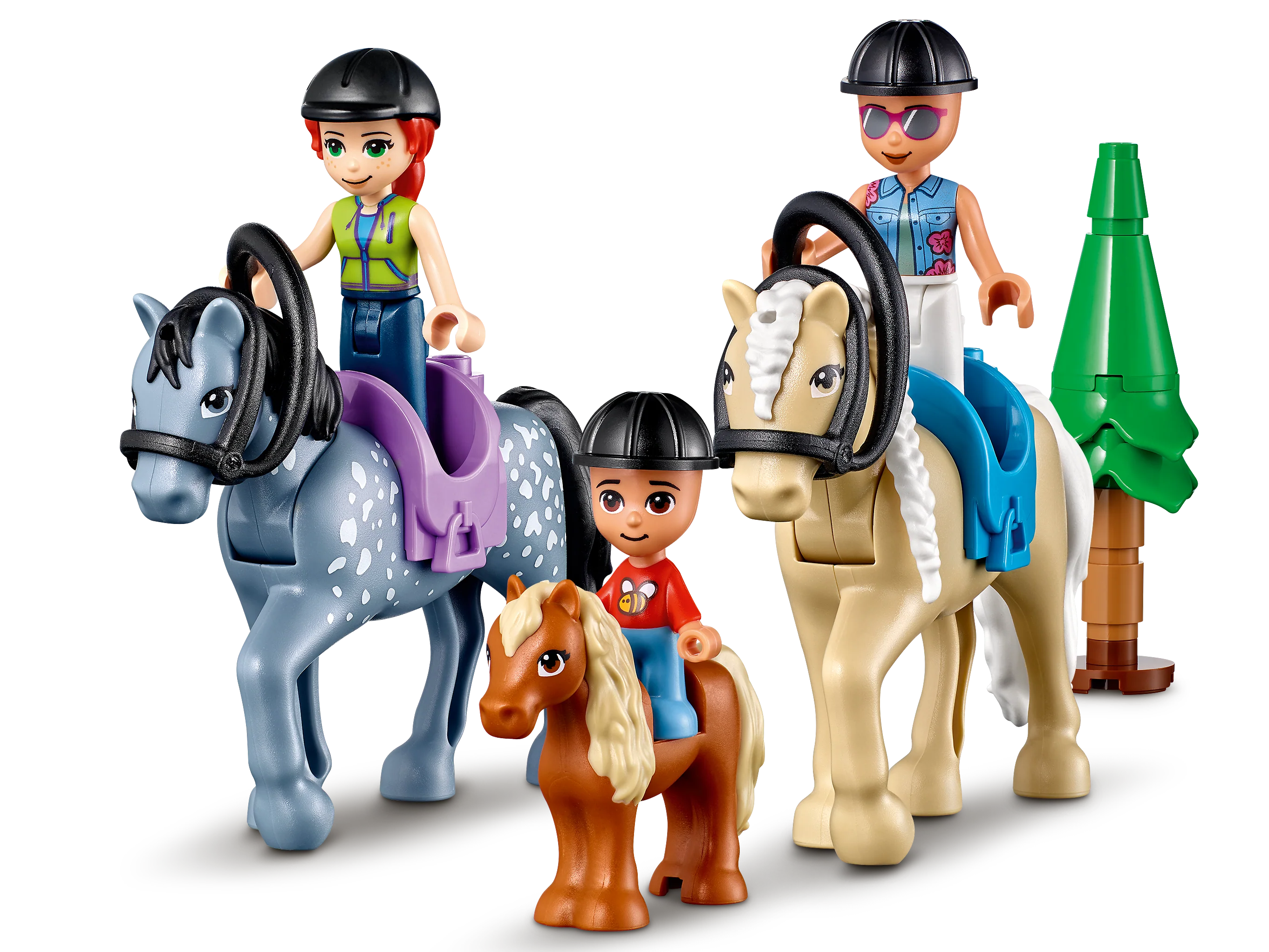 Forest Horseback Riding Center - Image 9