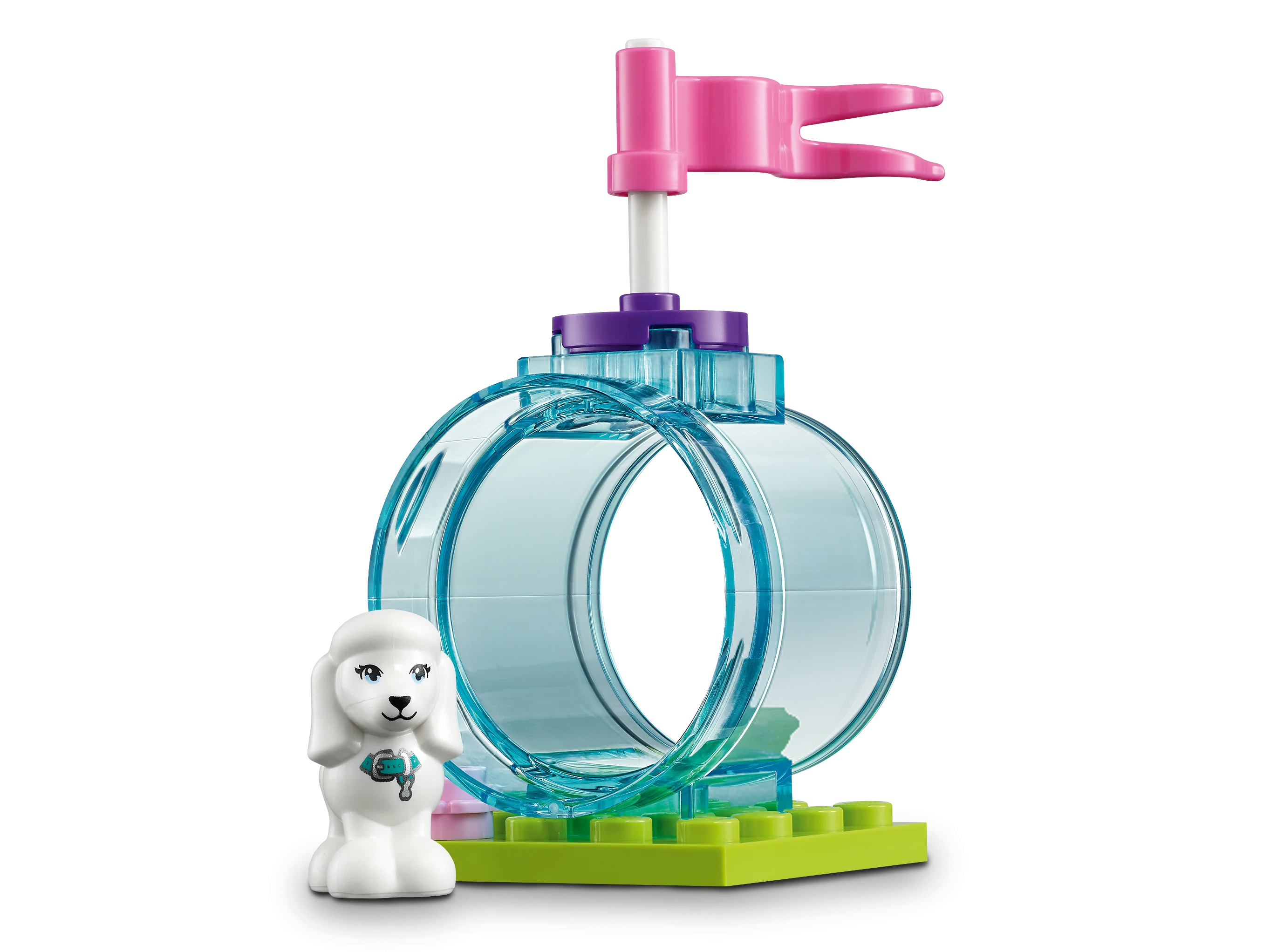 Doggy Day Care - Image 11