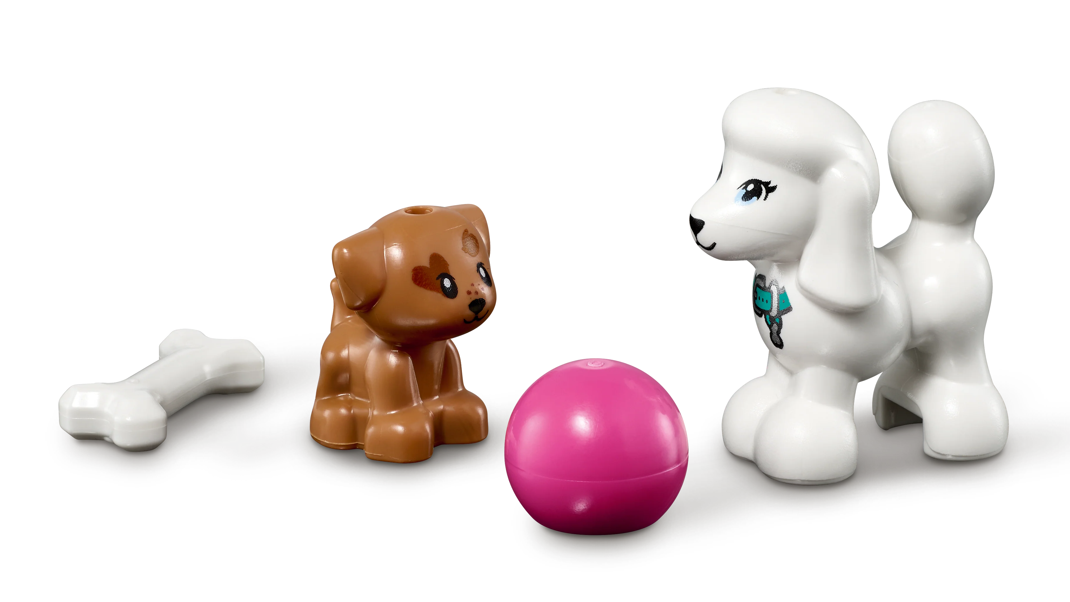 Doggy Day Care - Image 5