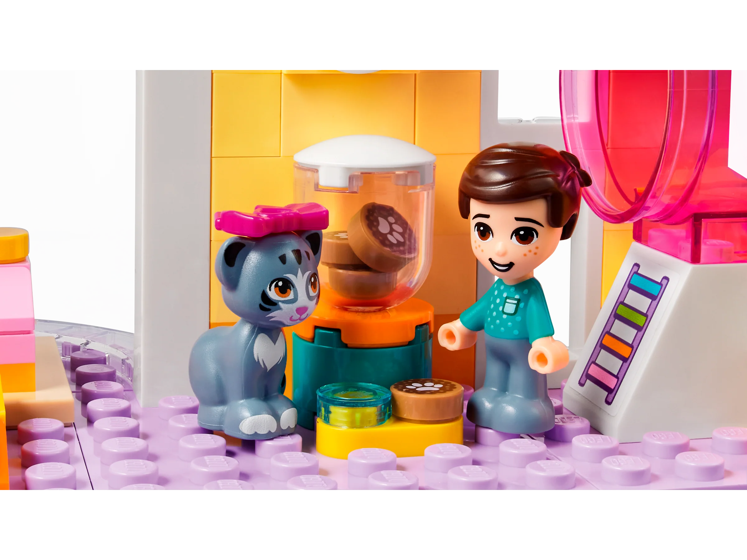 Pet Day-Care Center - Image 4