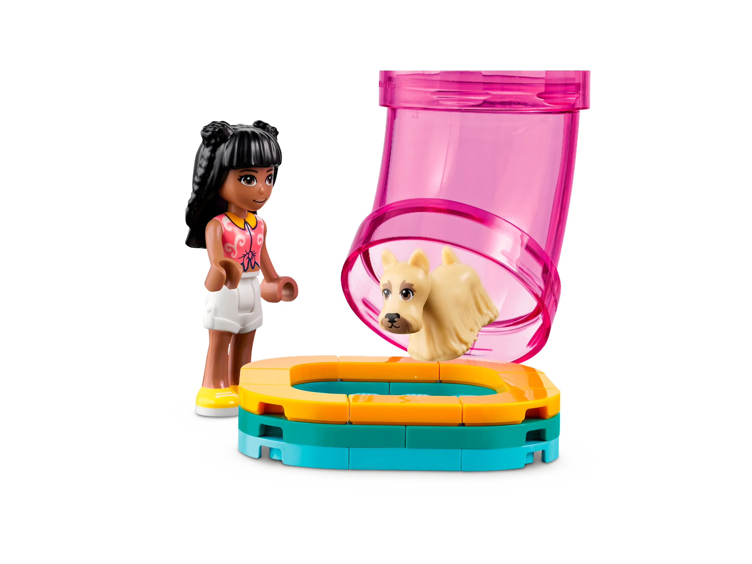 Pet Day-Care Center - Image 5