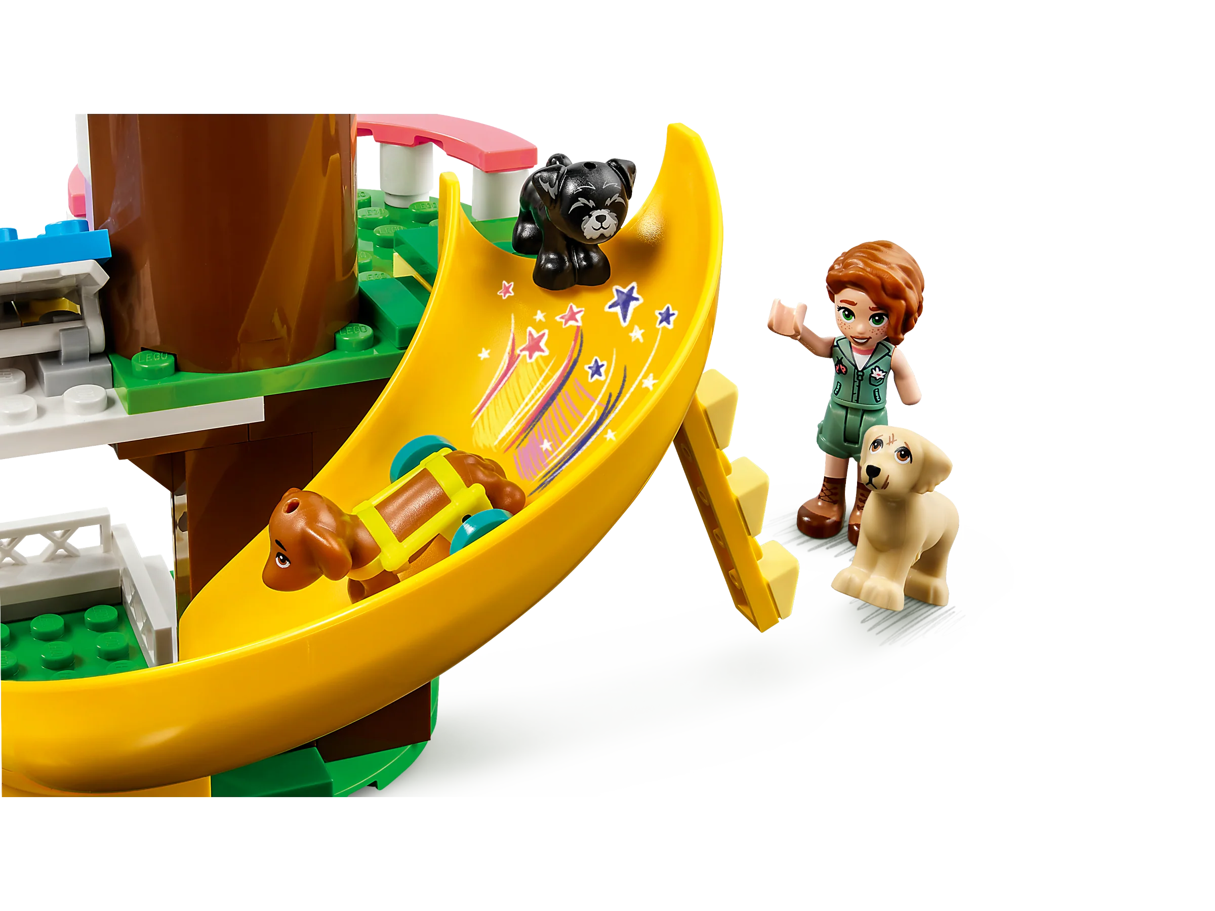 Dog Rescue Center - Image 5