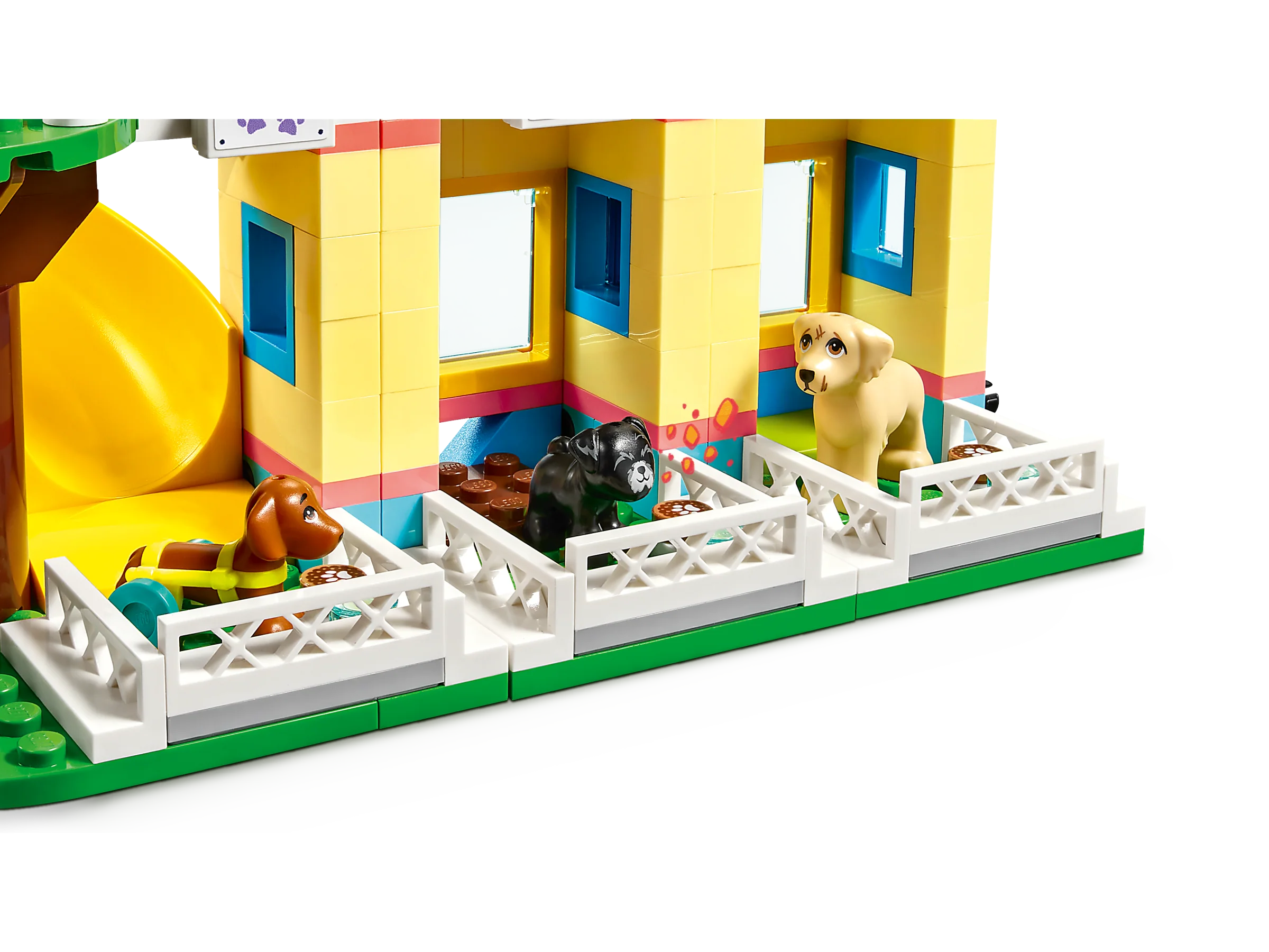 Dog Rescue Center - Image 6