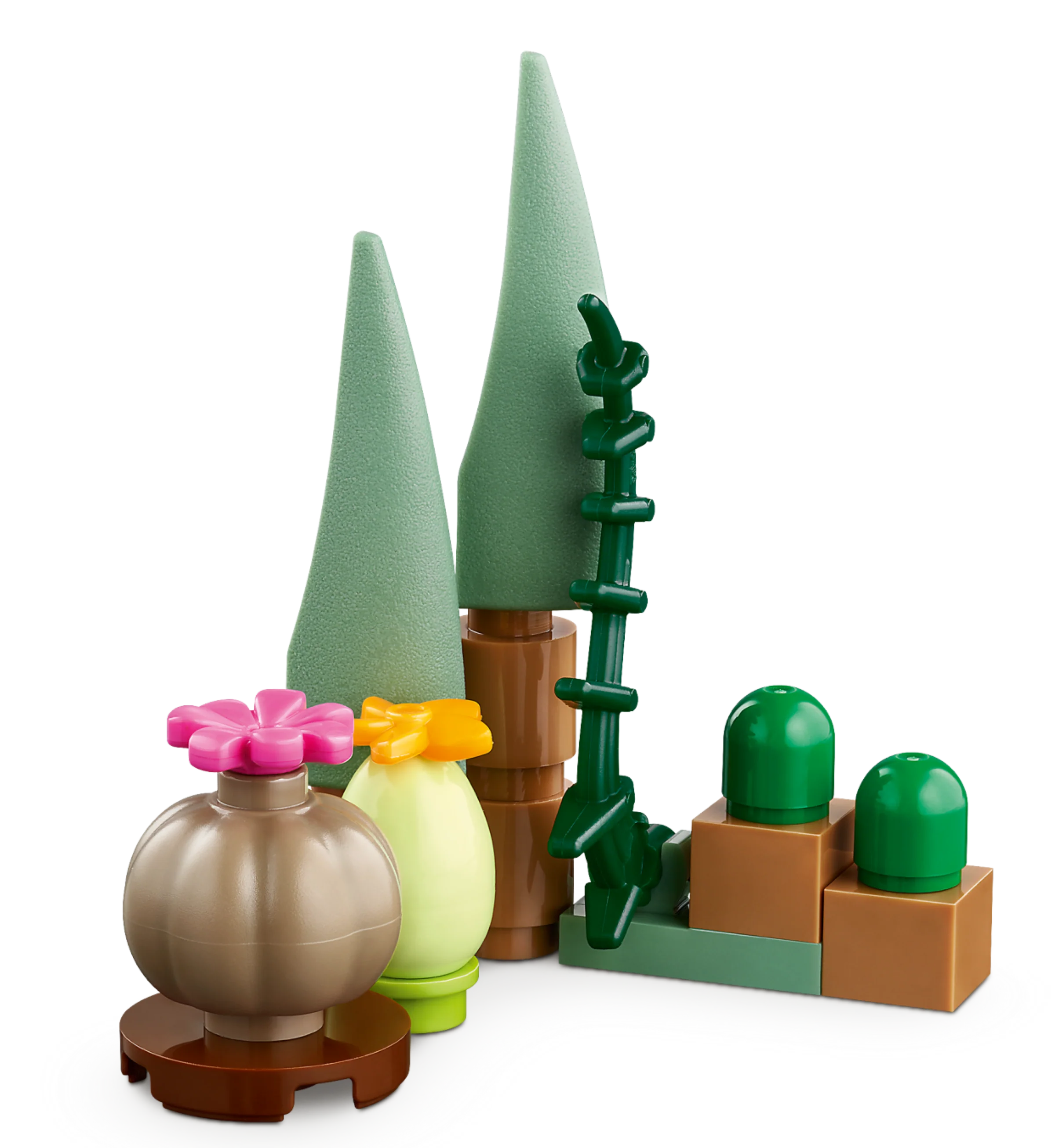 Botanical Garden - Image 5