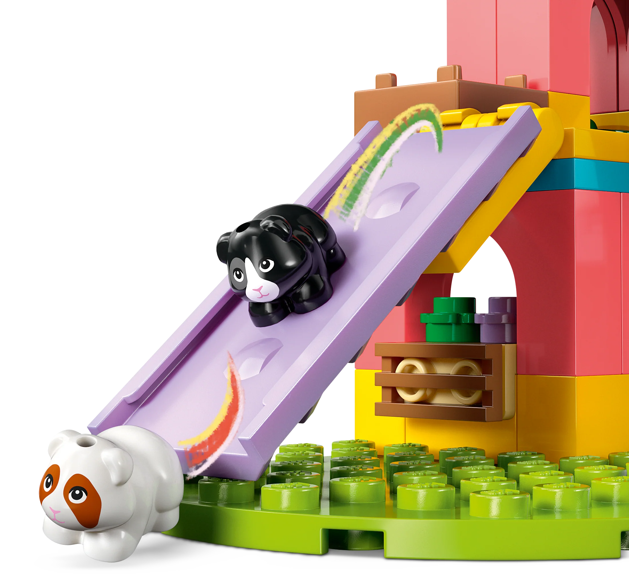 Guinea Pig Playground - Image 4