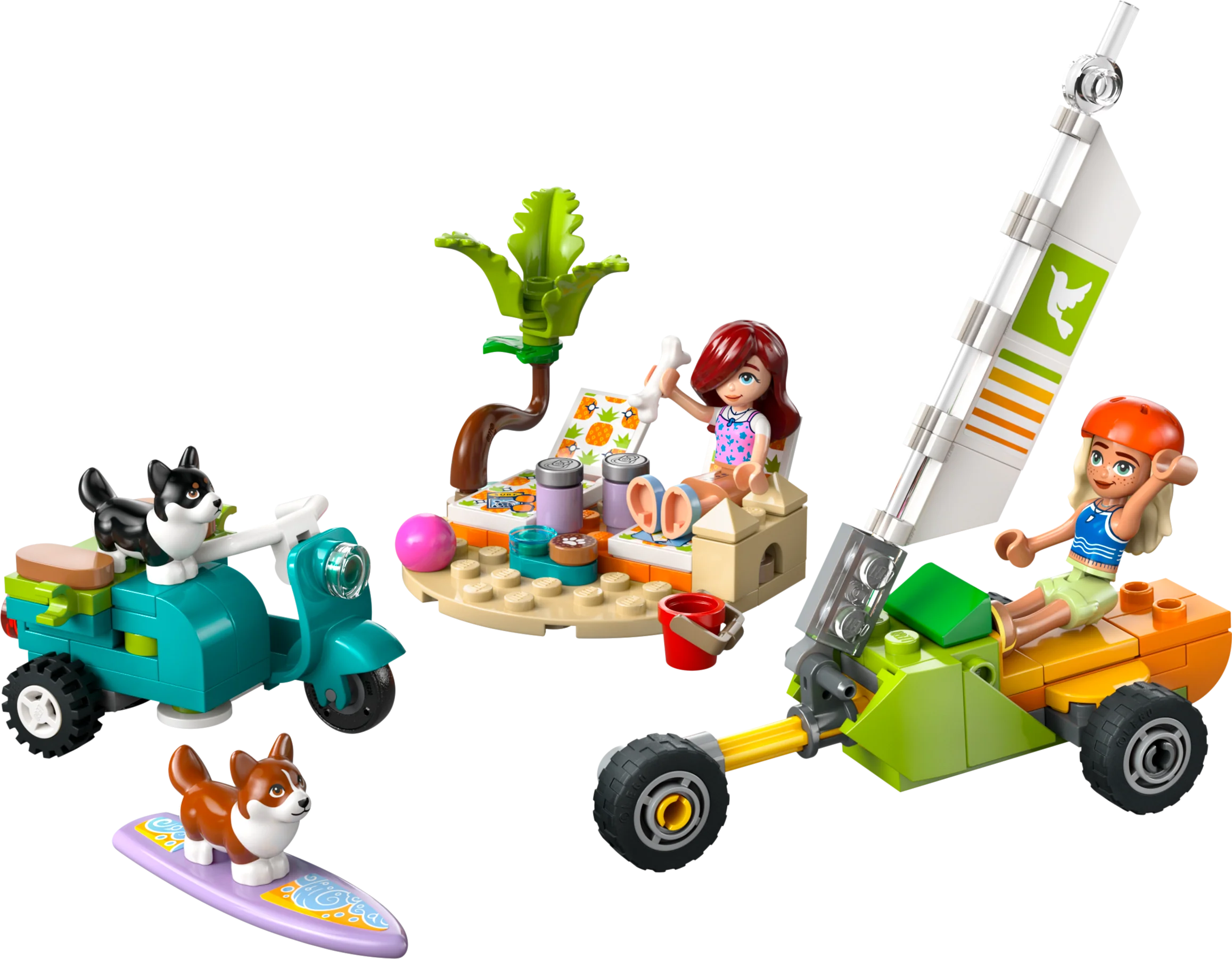 Surfing Dogs and Scooter Adventure
