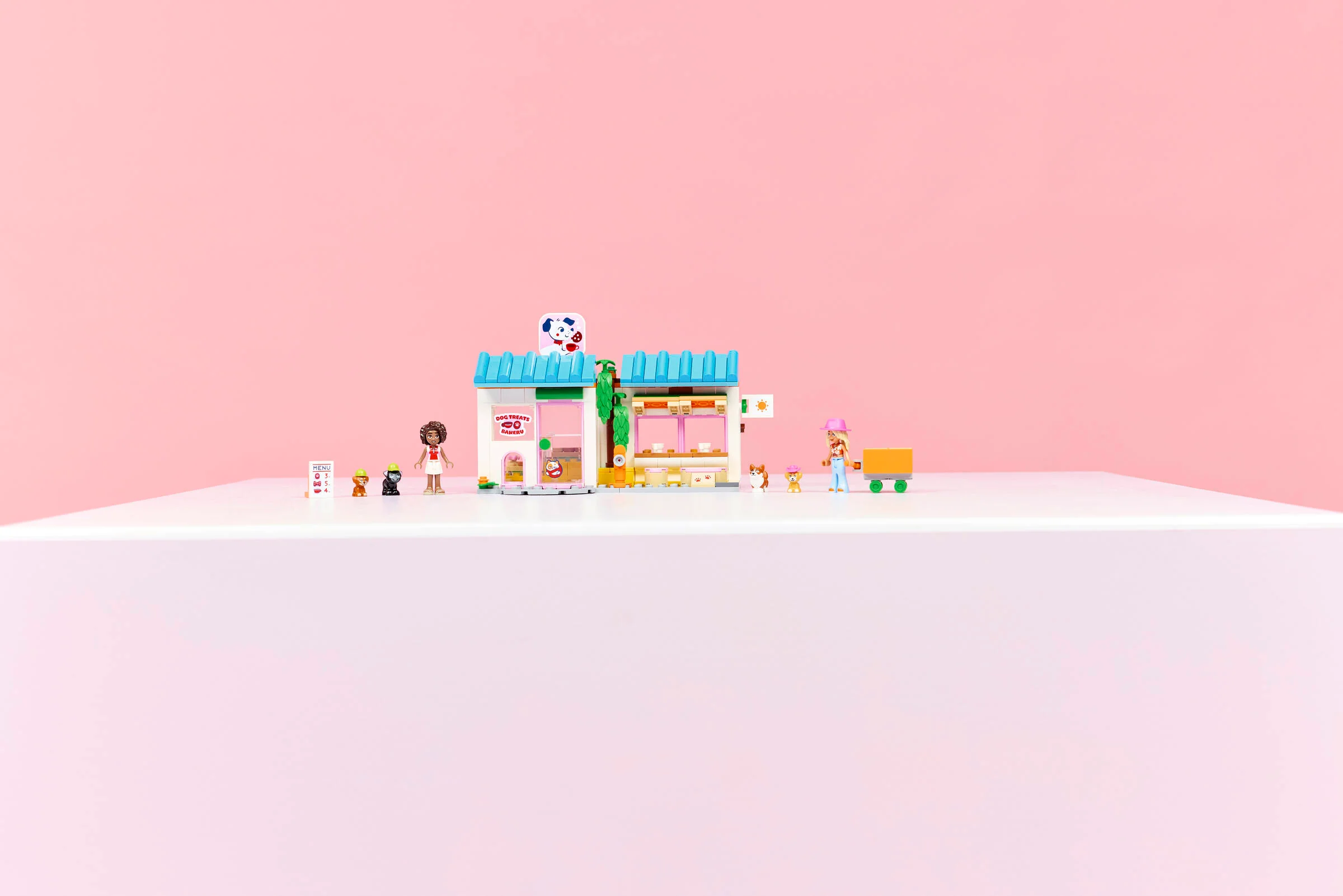Dog Treats Bakery - Image 12