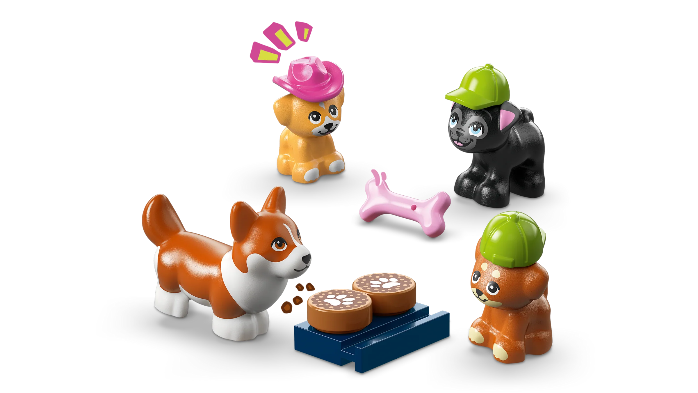 Dog Treats Bakery - Image 6