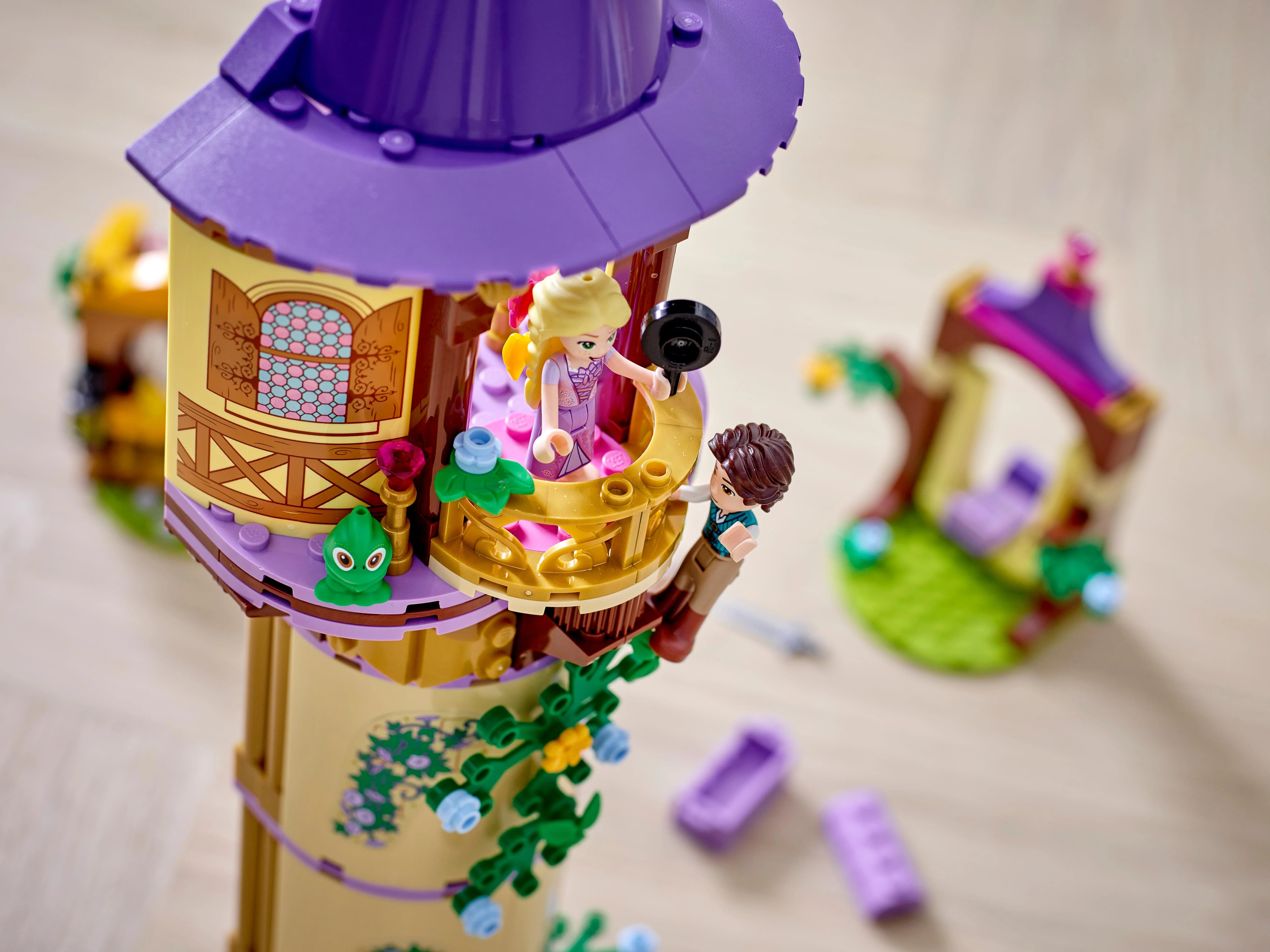 Rapunzel's Tower - Image 16