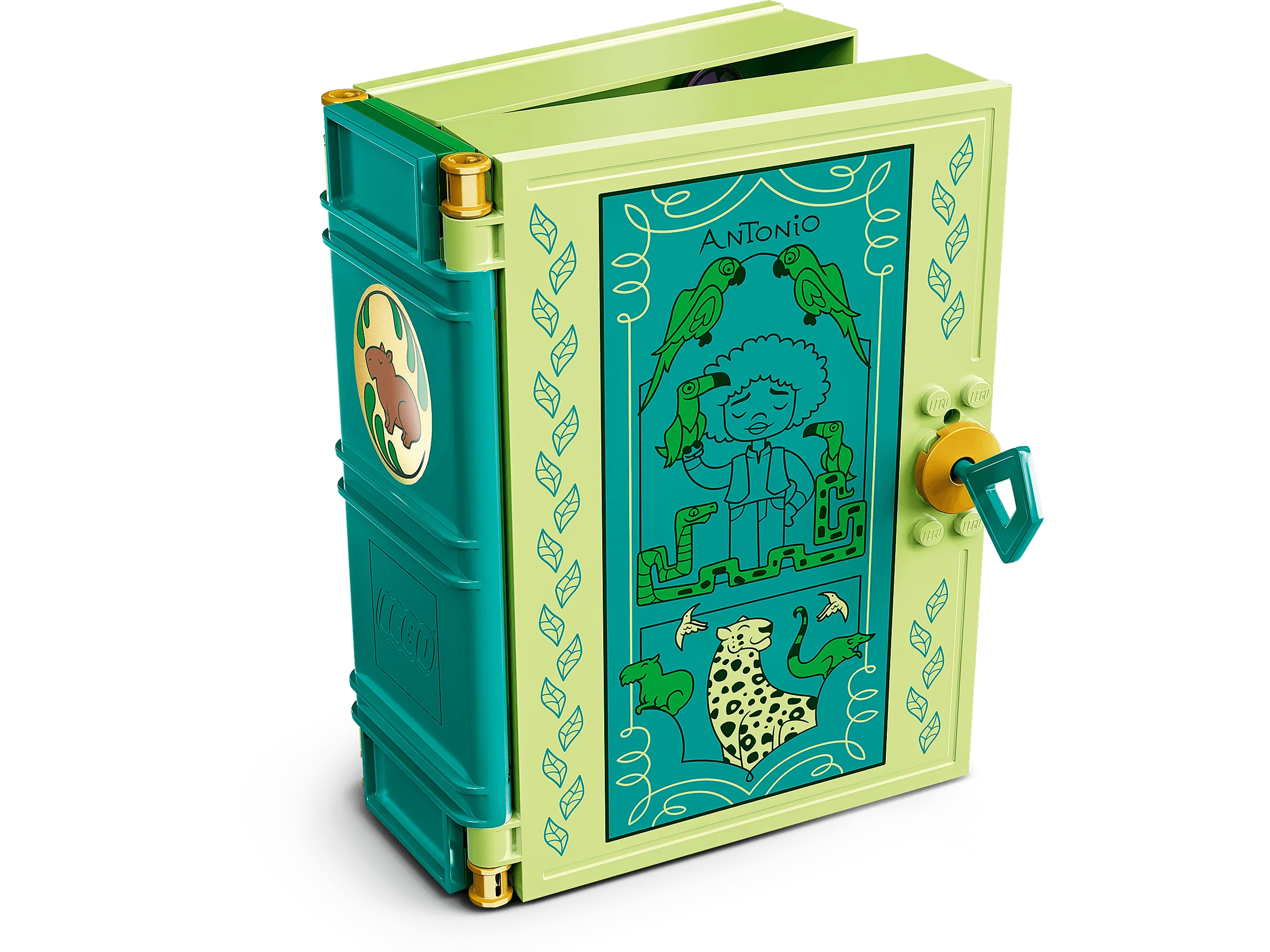 Antonio's Magical Door - Image 4