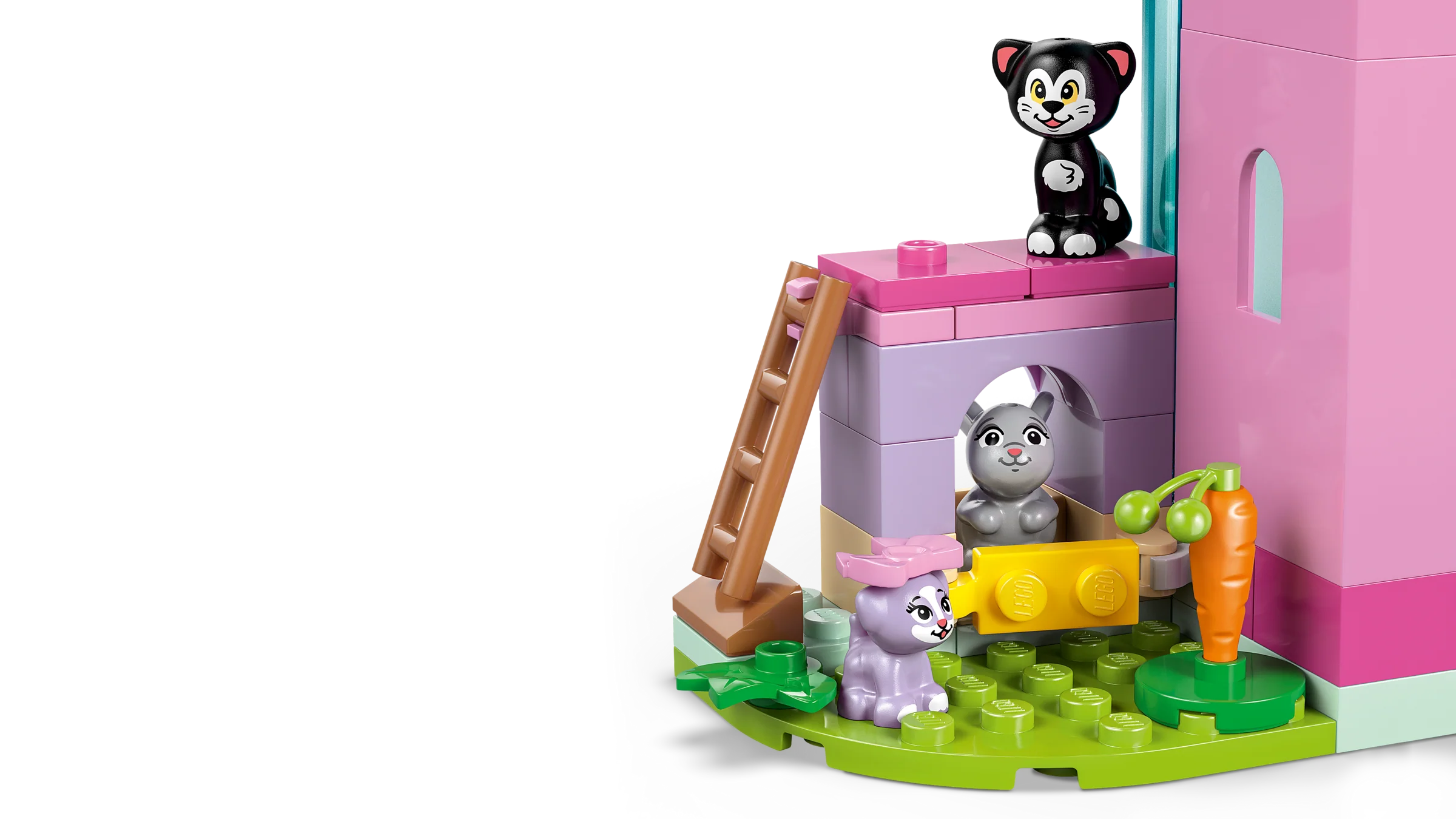 Minnie's Pet Hotel - Image 5