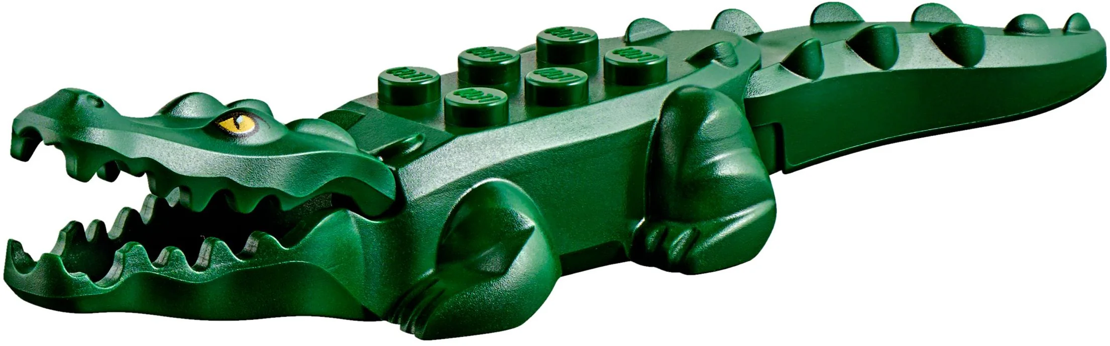 Jungle Starter Set - Image 6