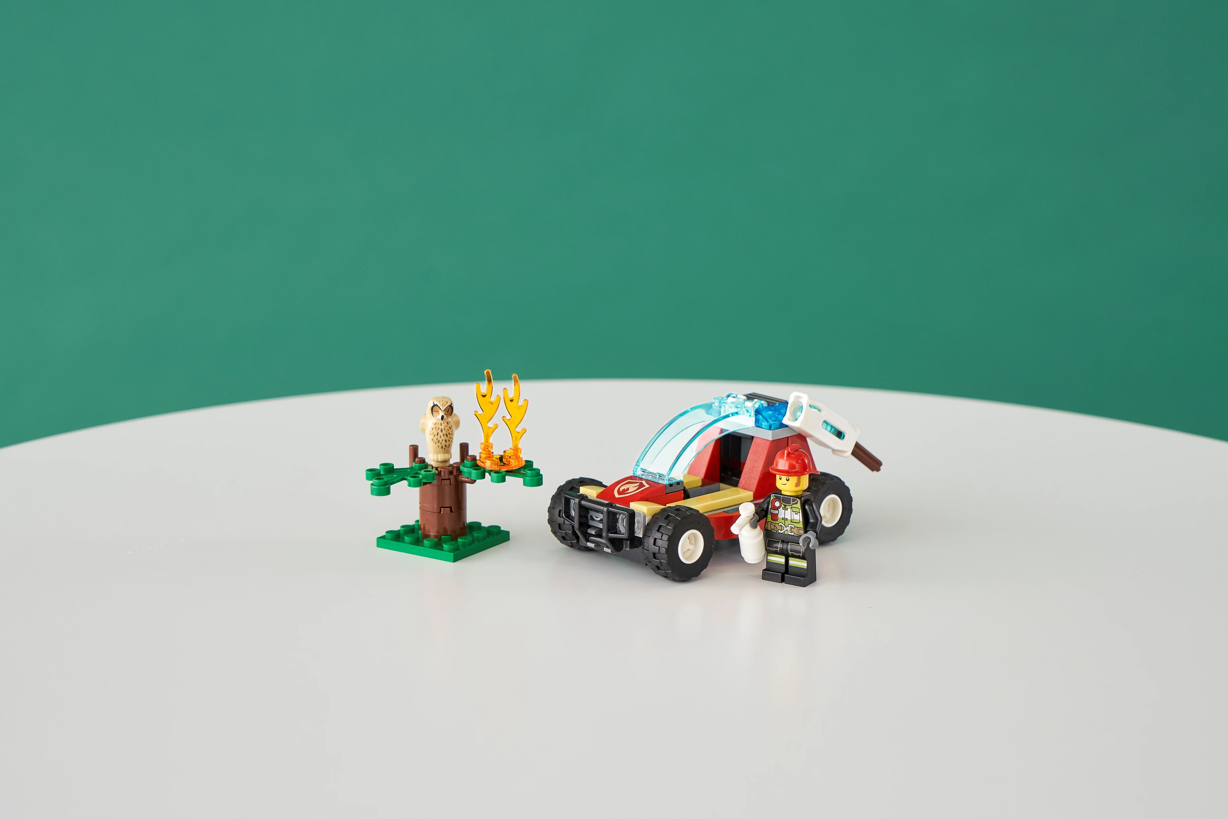 Forest Fire - Image 7